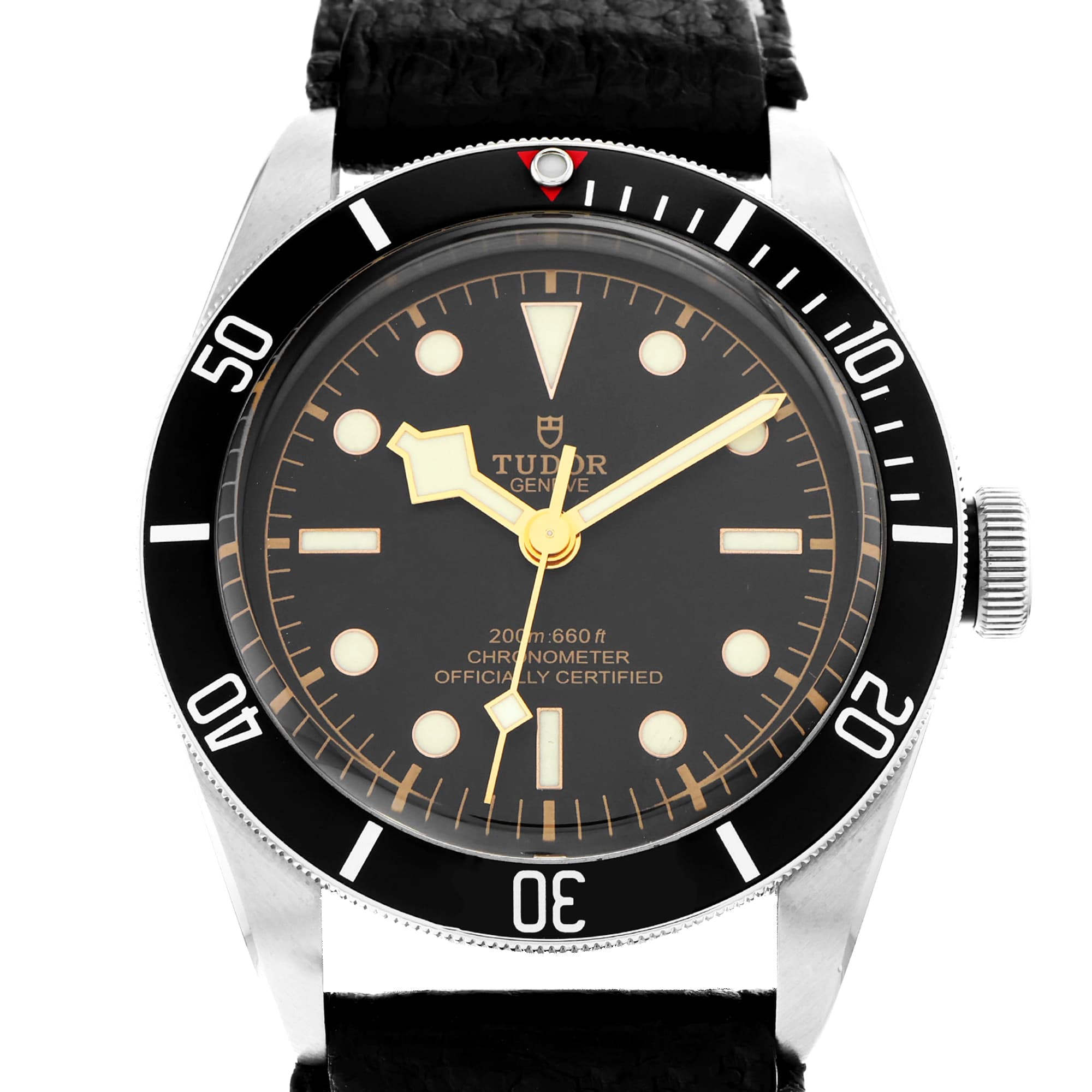 Tudor Black Bay 79230 Heritage Black Dial Automatic