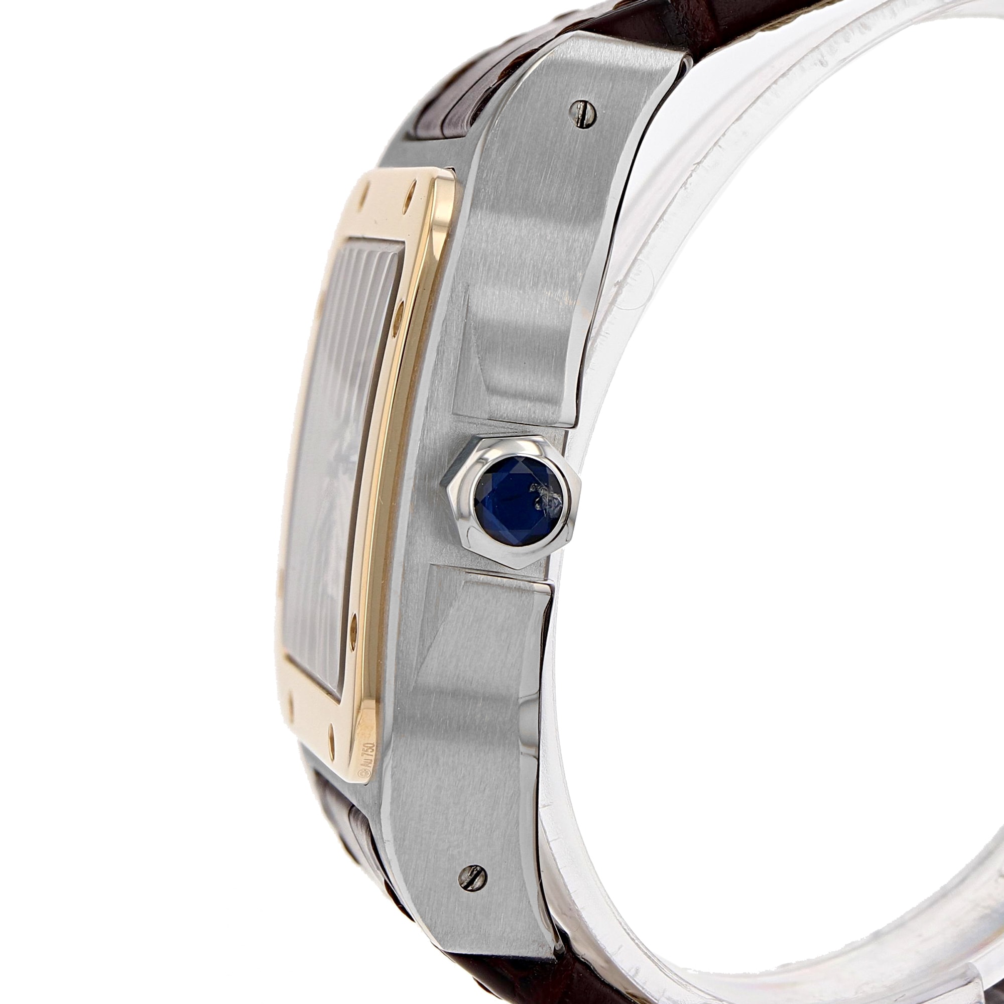 Cartier Santos 100
