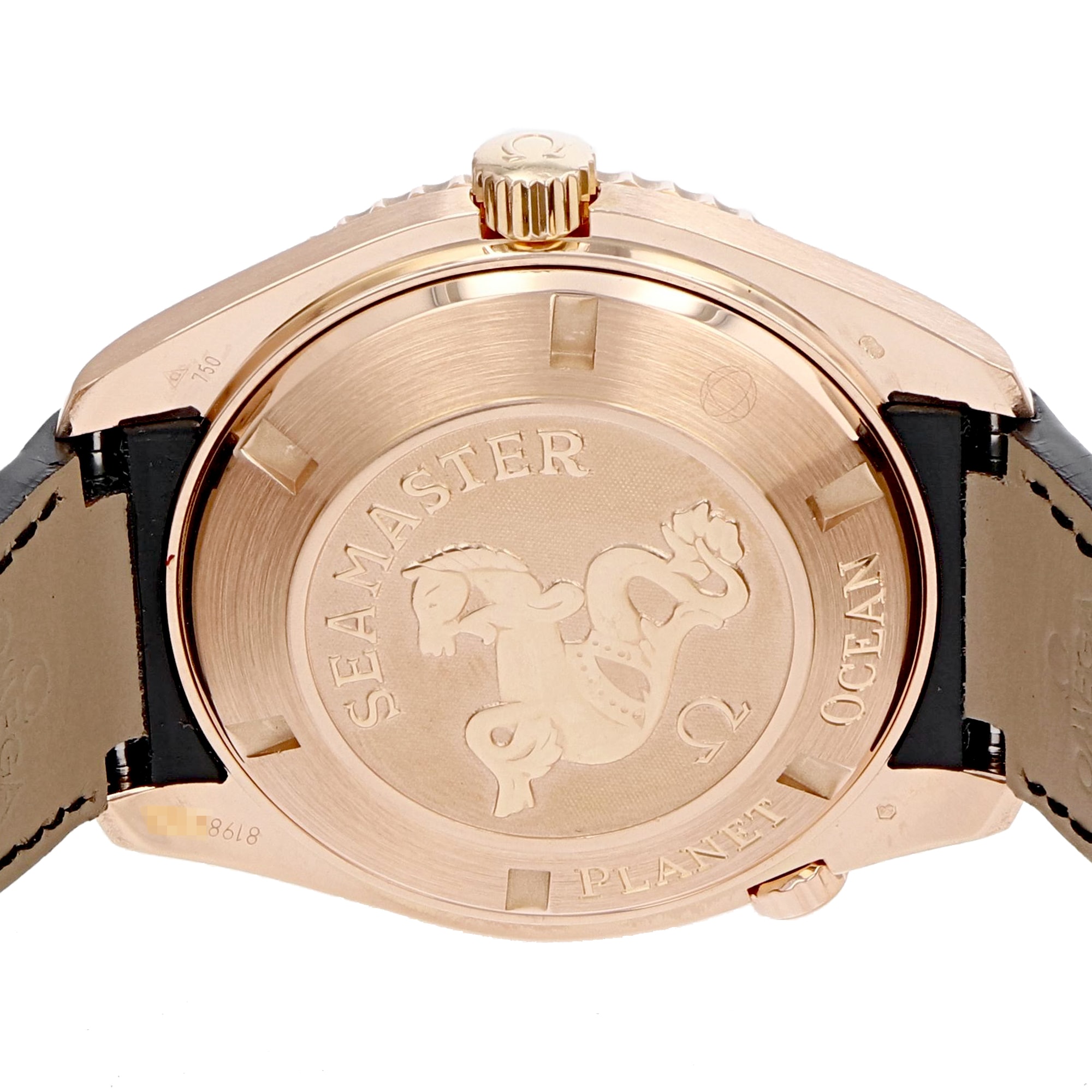 Omega Seamaster Planet Ocean