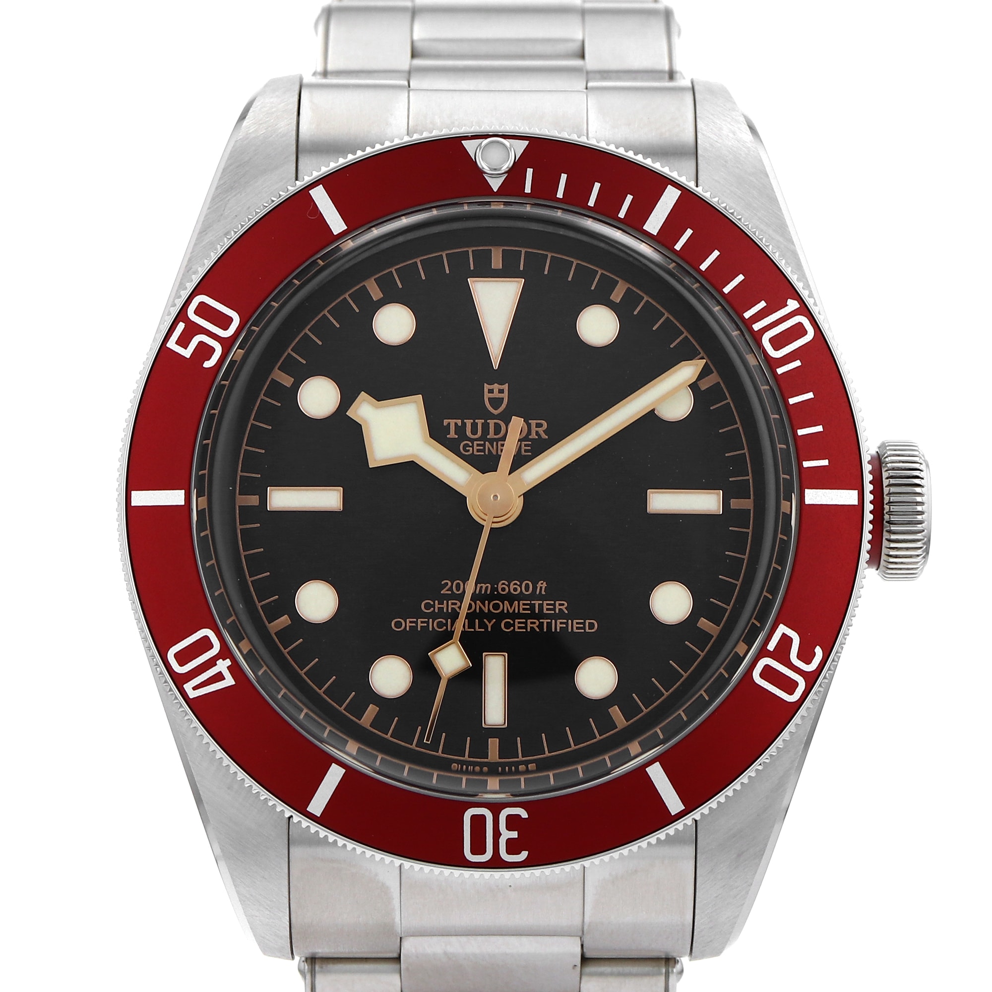 Tudor Black Bay