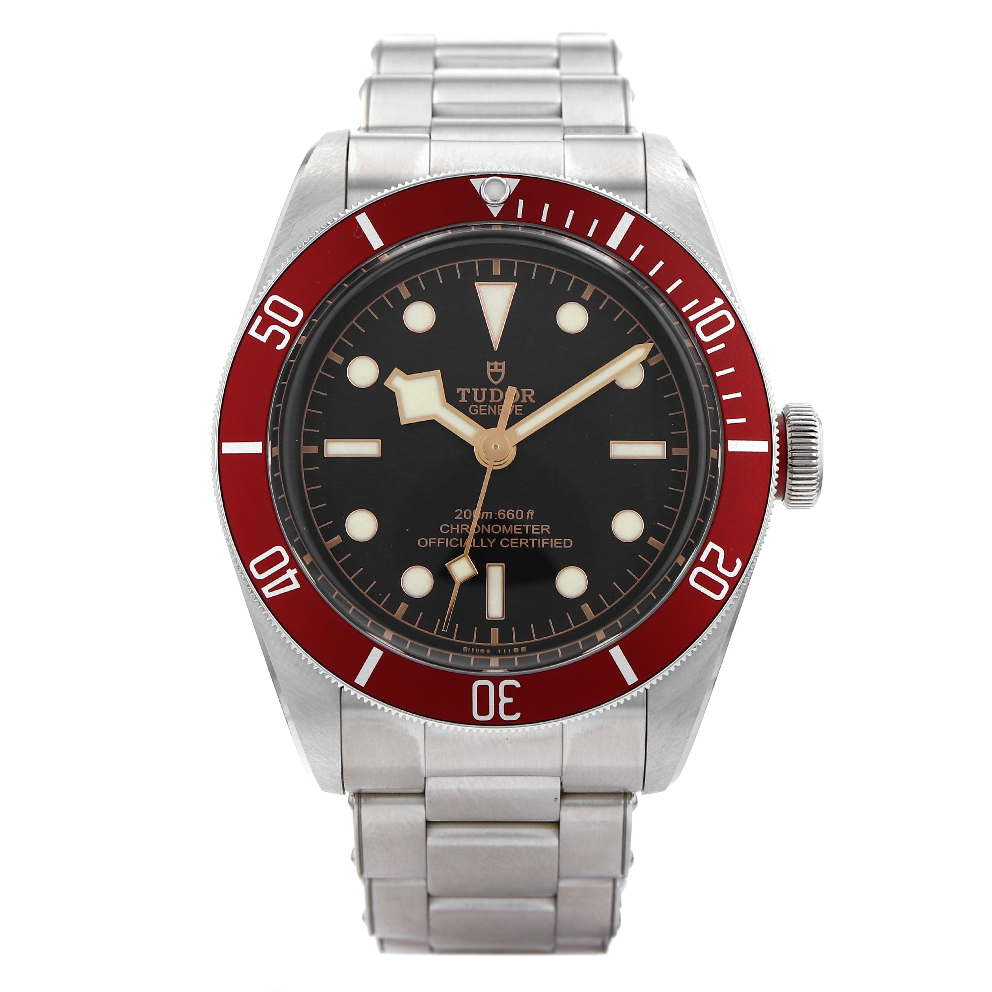 Tudor Black Bay