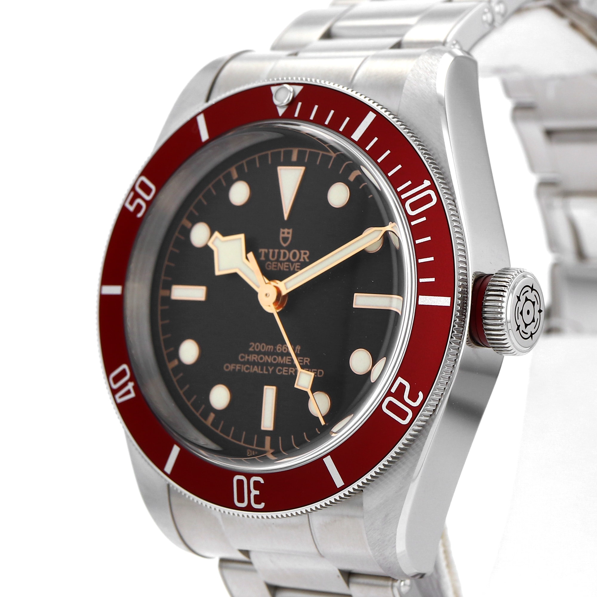 Tudor Black Bay
