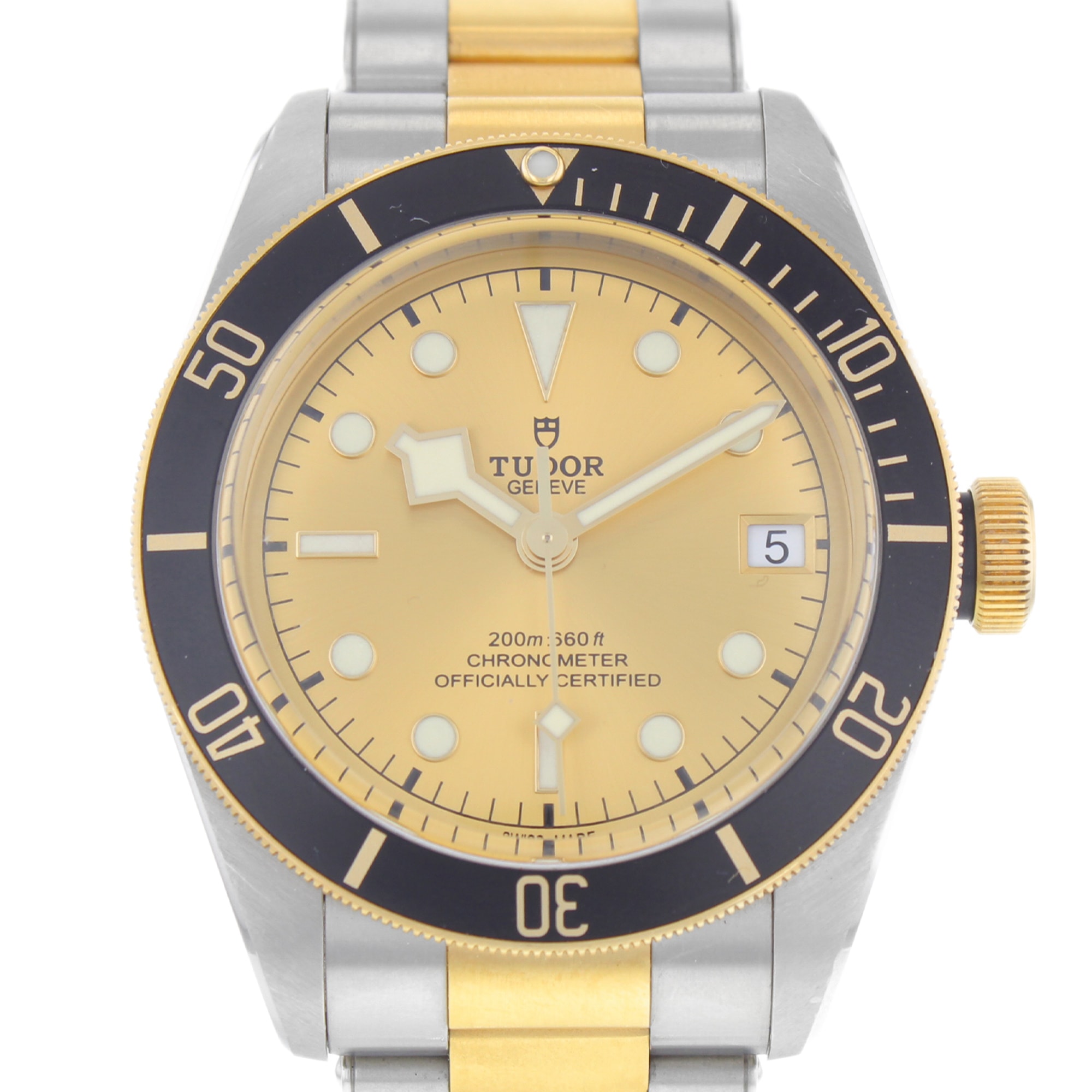 Tudor Black Bay