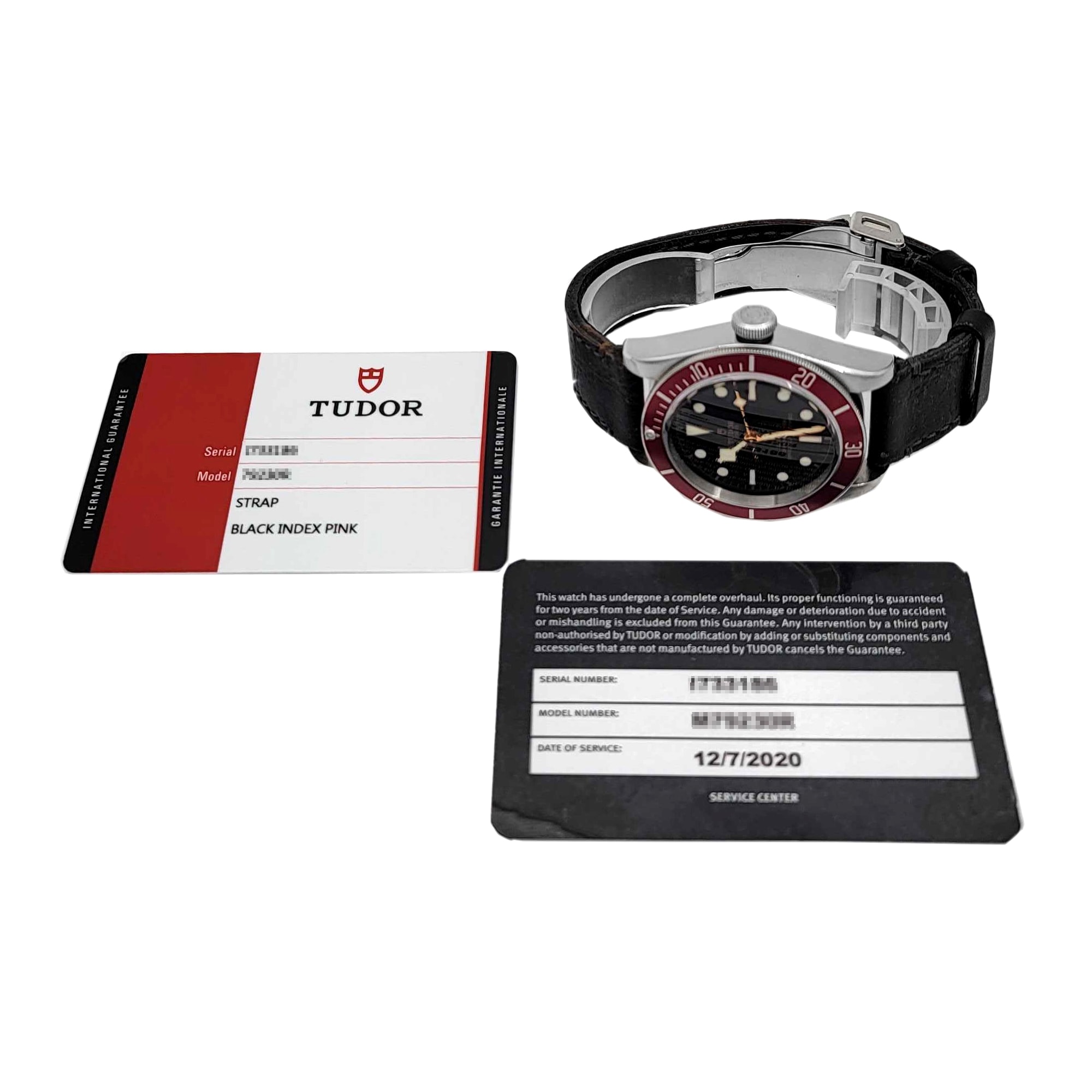 Tudor Black Bay