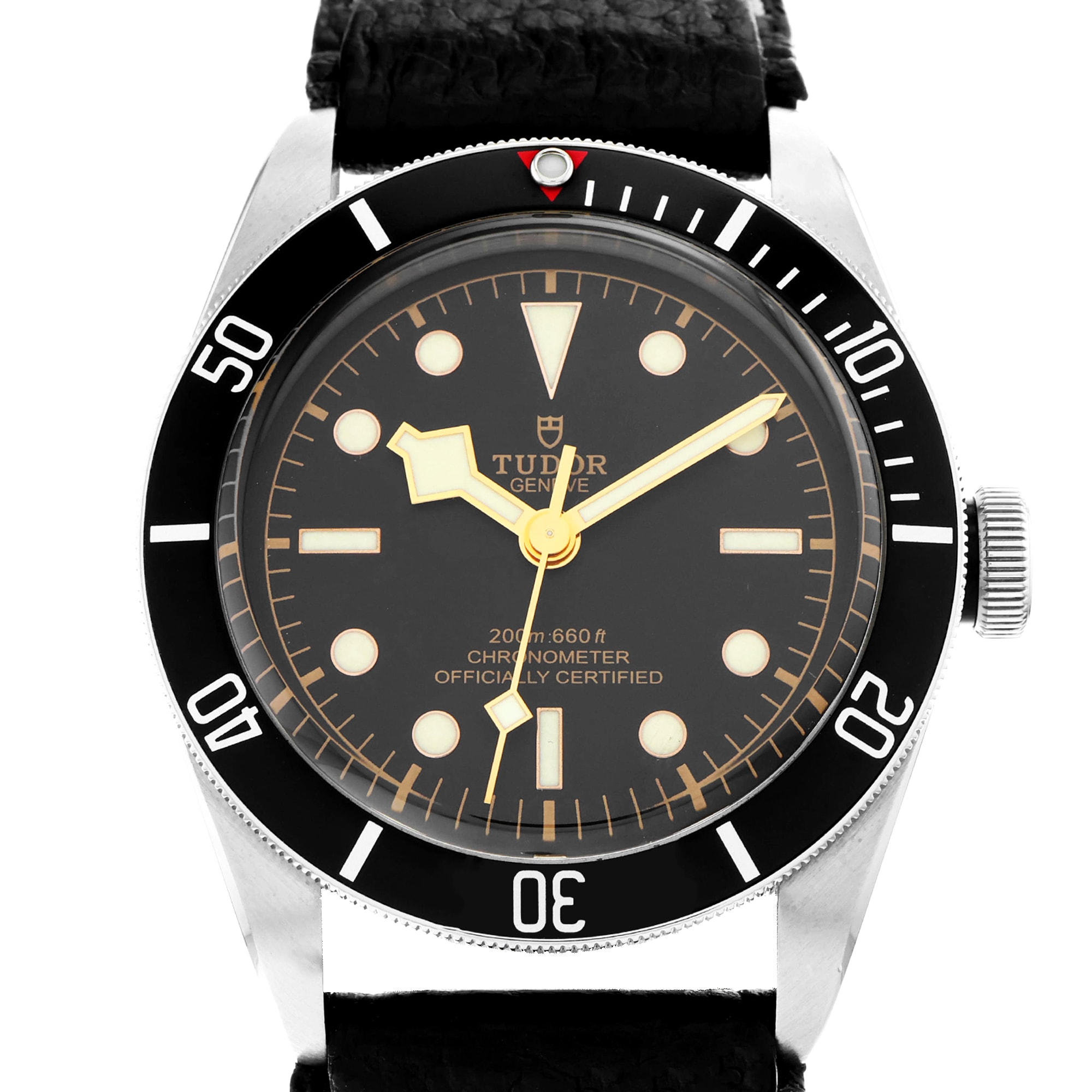 Tudor Black Bay