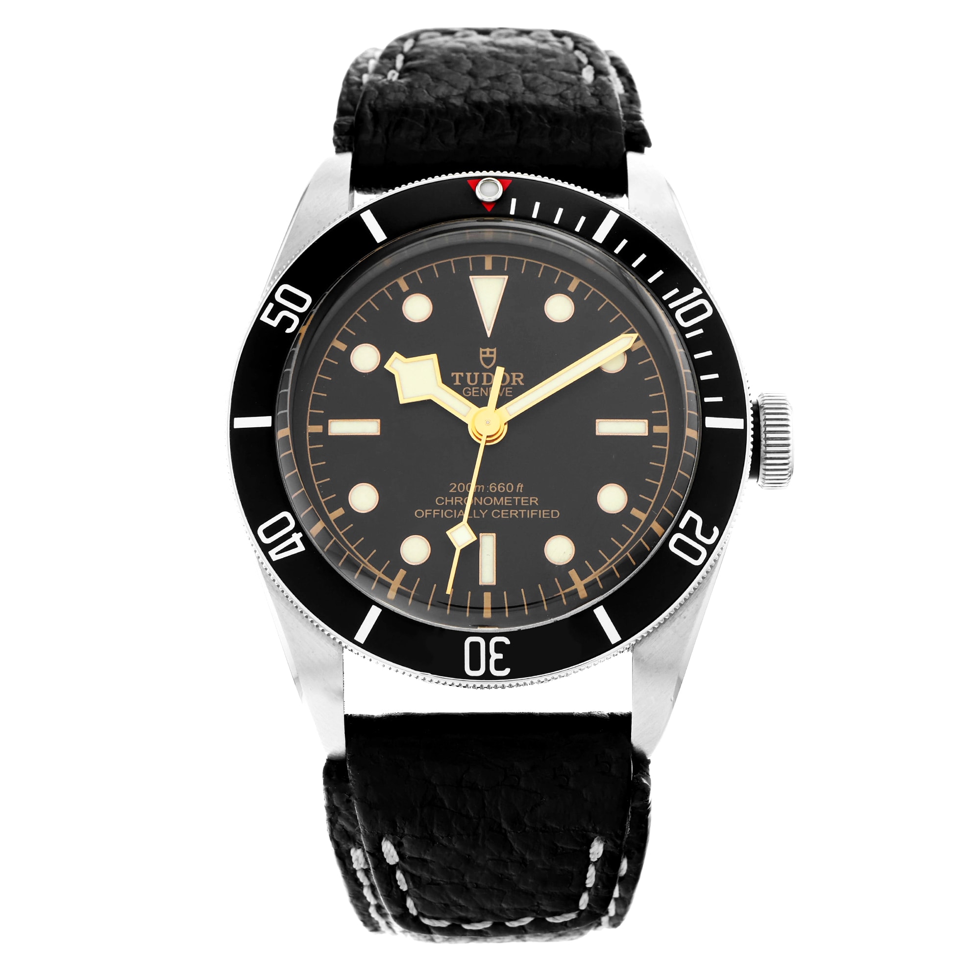 Tudor Black Bay