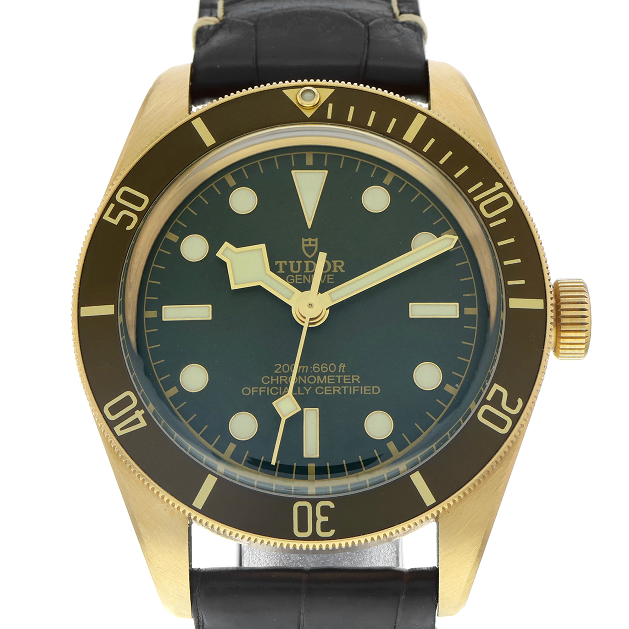 Tudor Black Bay