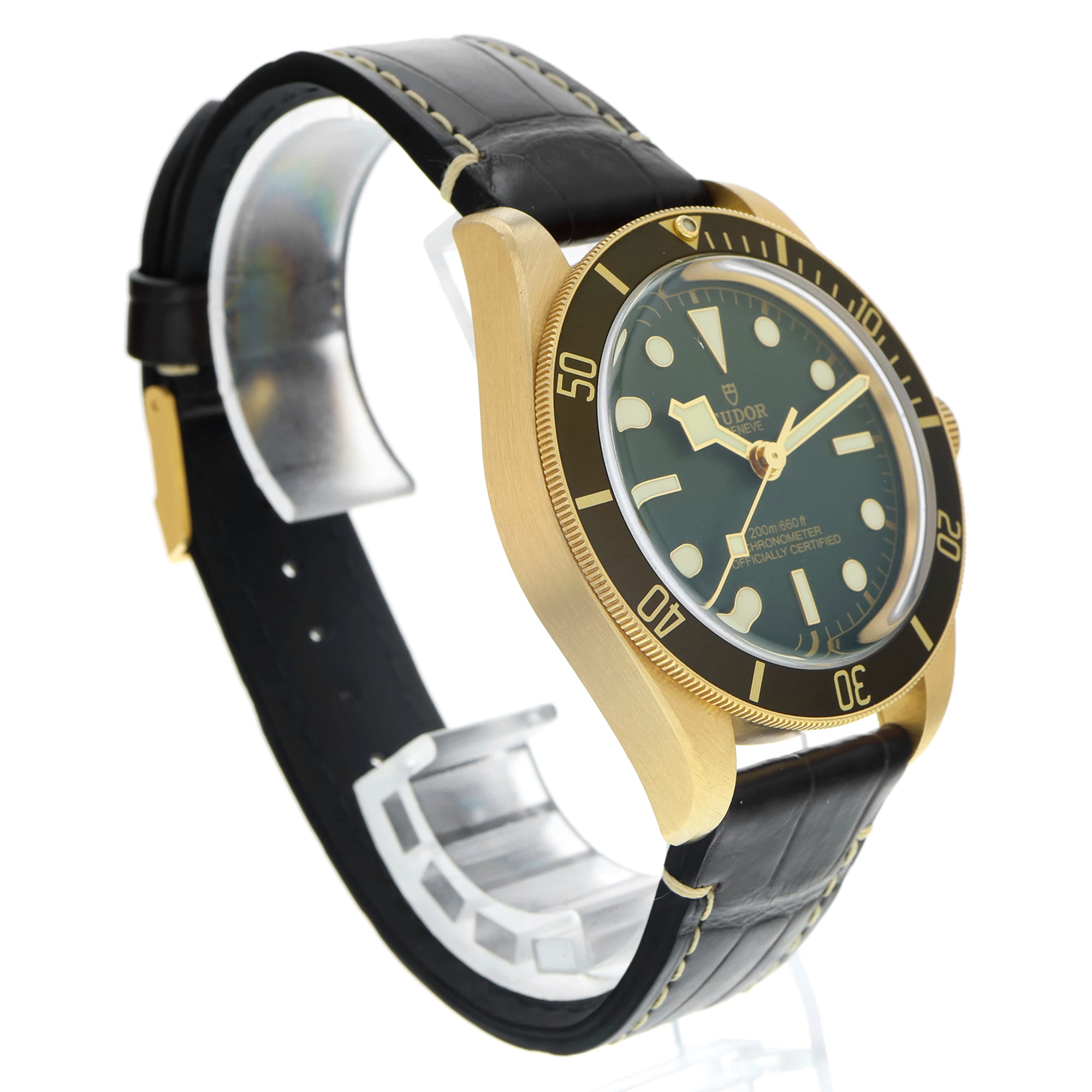 Tudor Black Bay