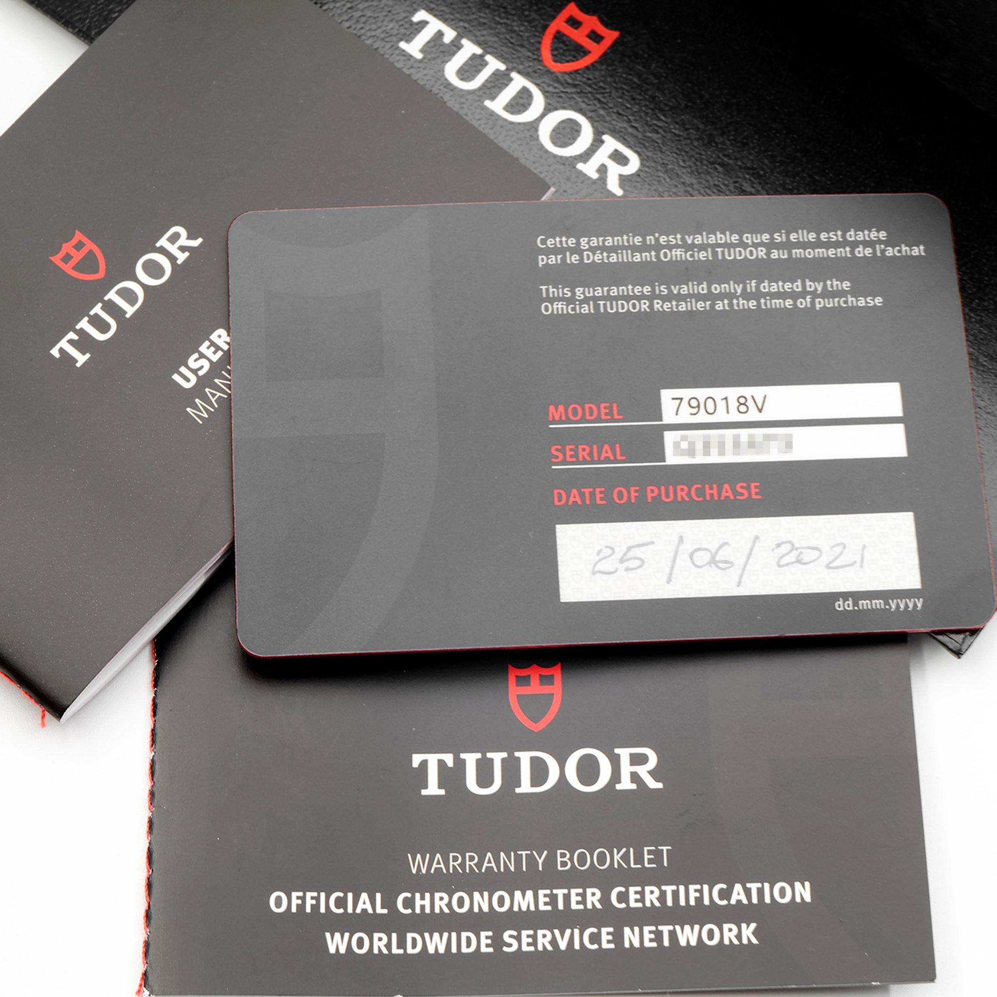 Tudor Black Bay