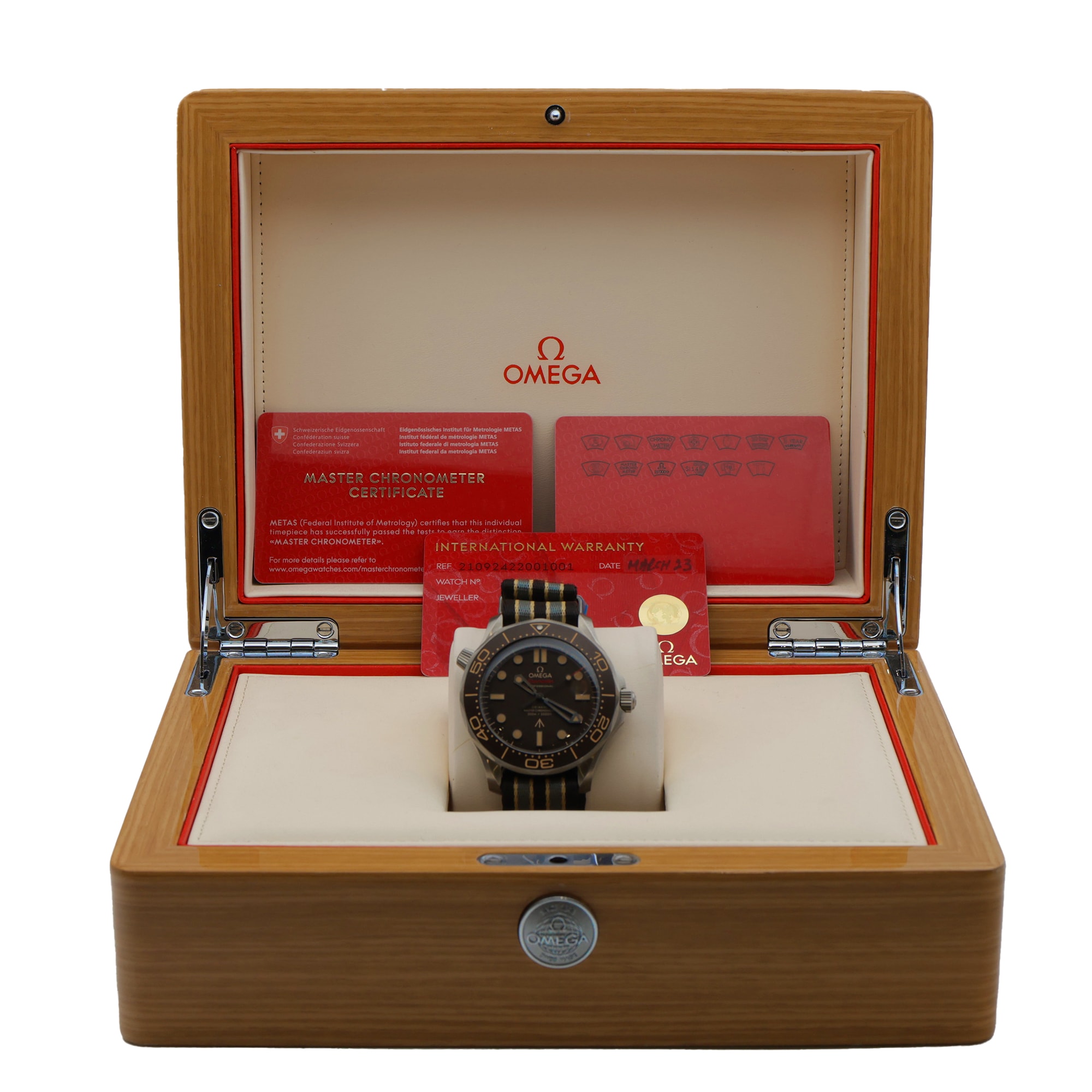 Omega Seamaster Diver 300