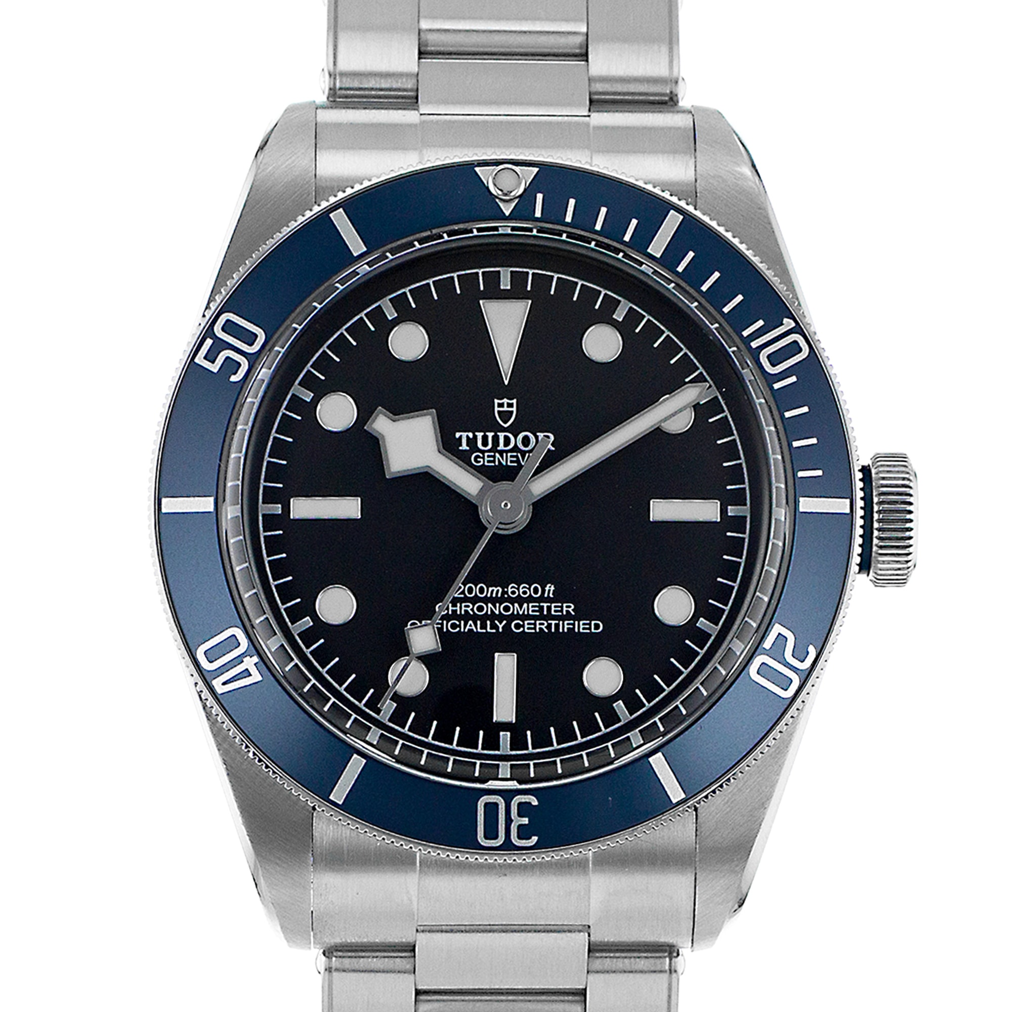 Tudor Black Bay