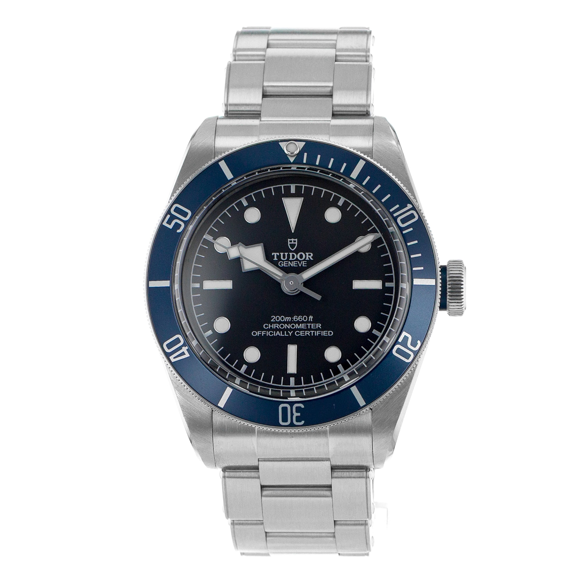 Tudor Black Bay