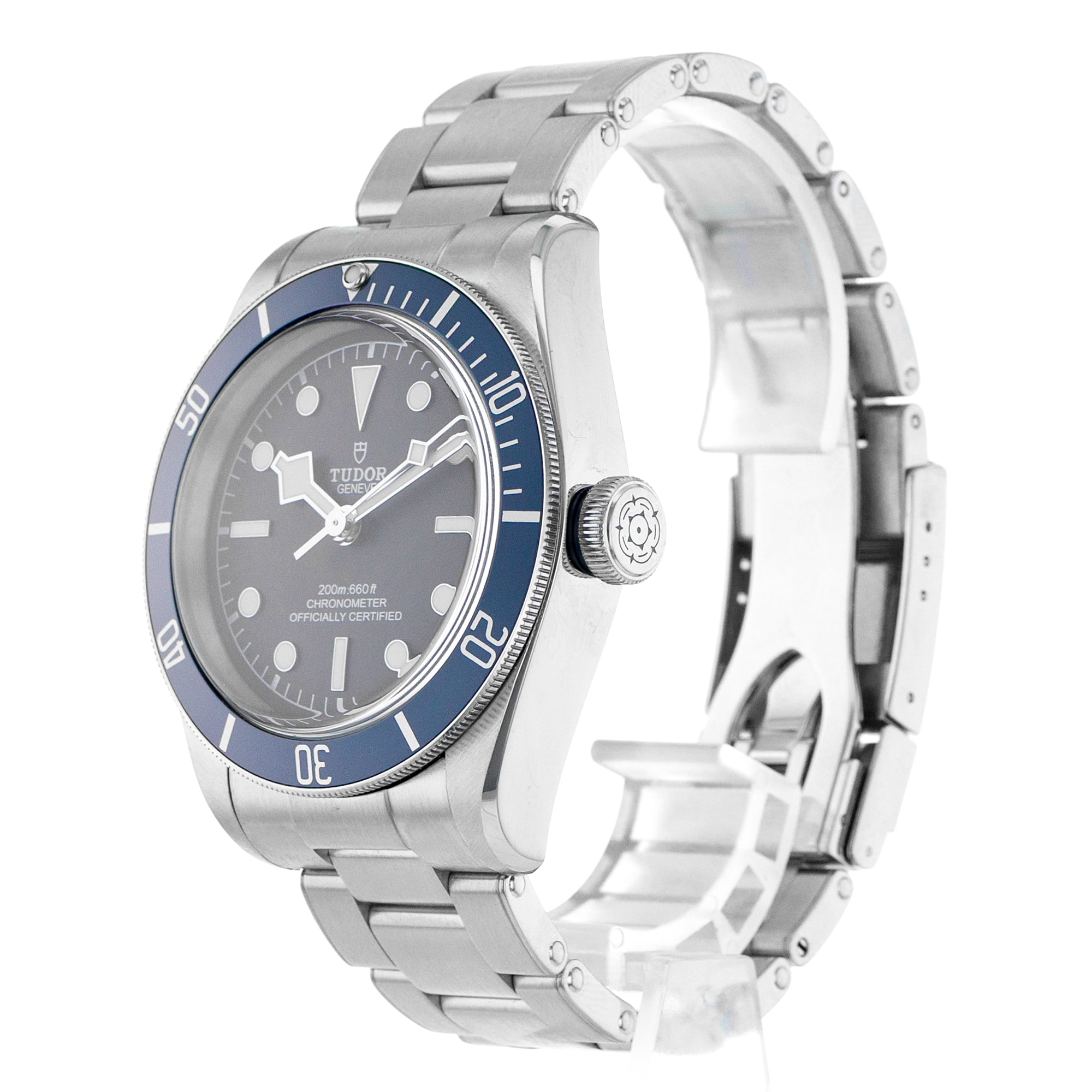 Tudor Black Bay