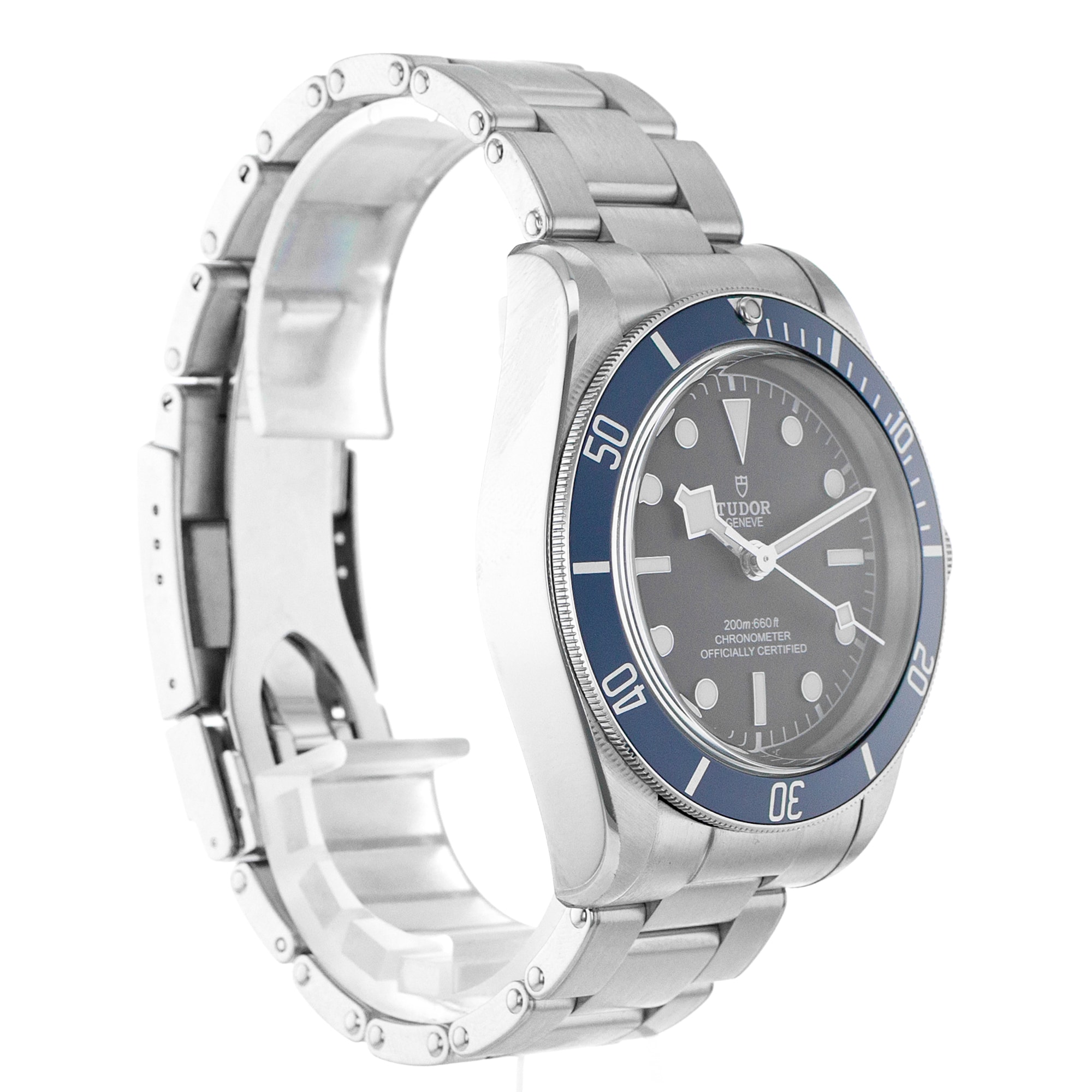 Tudor Black Bay