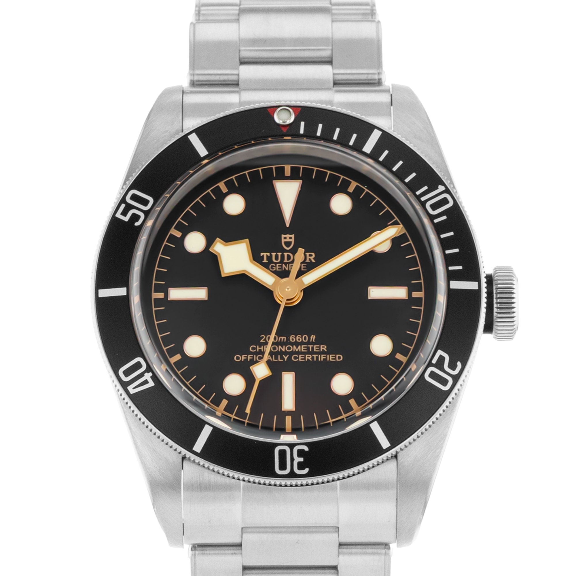 Tudor Black Bay