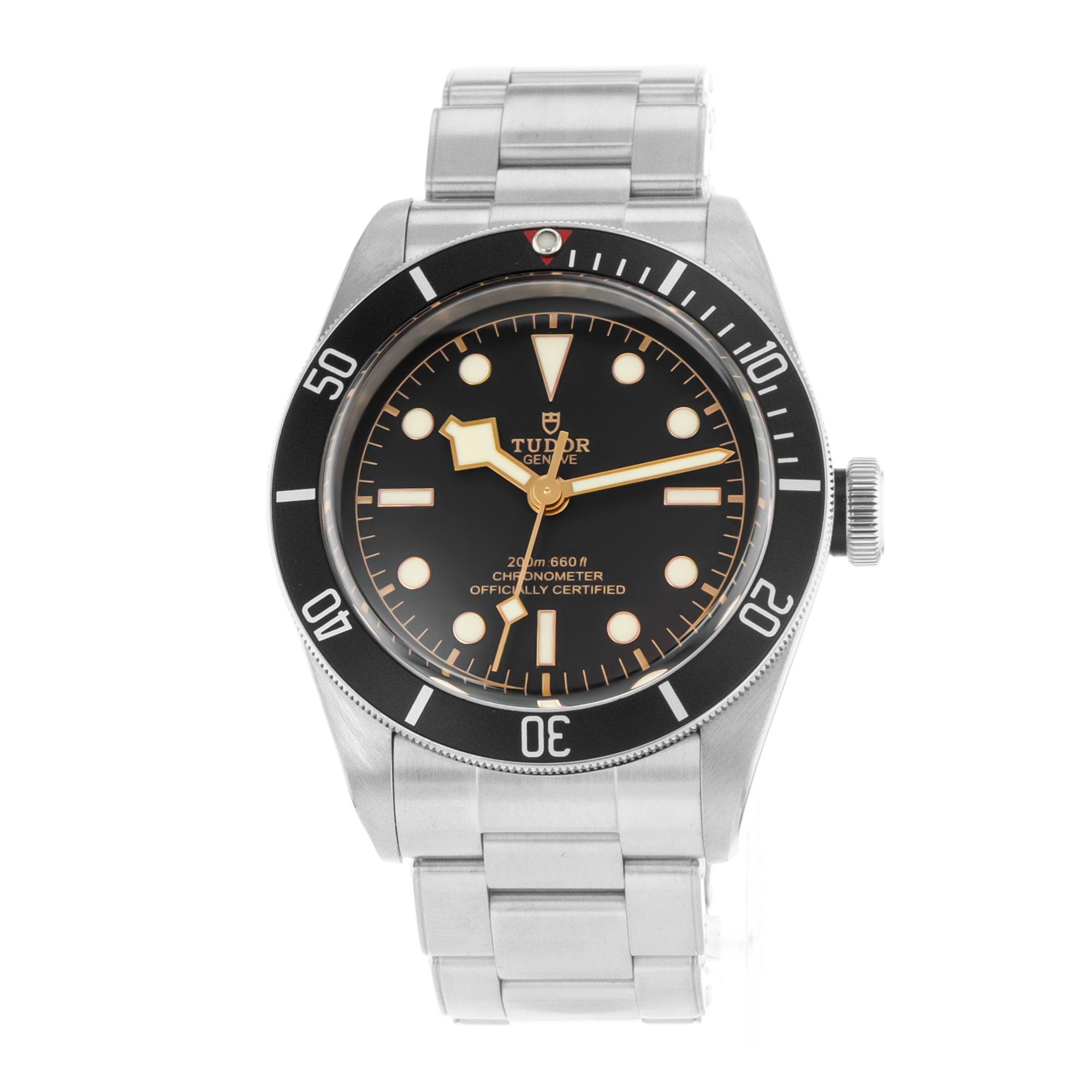 Tudor Black Bay