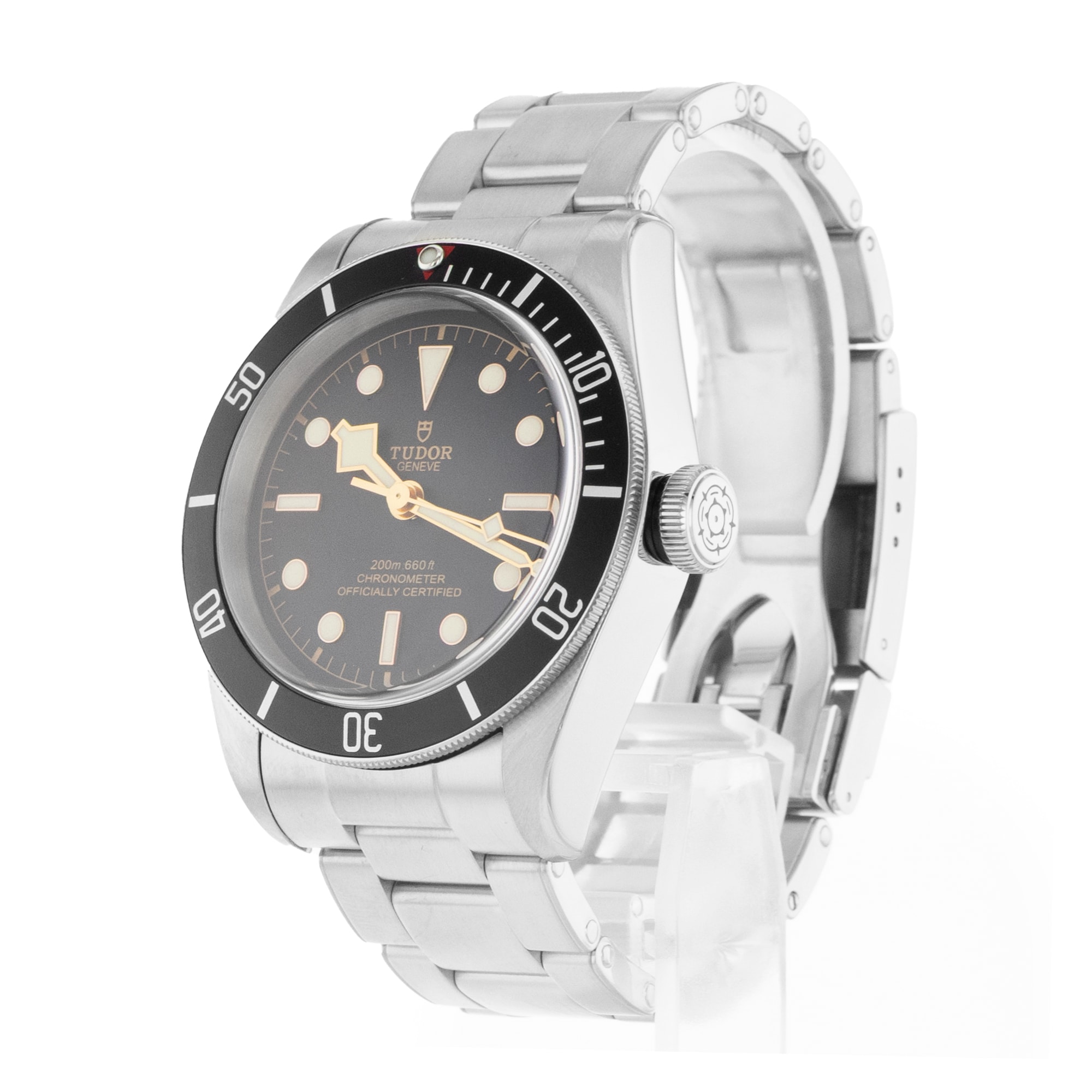 Tudor Black Bay
