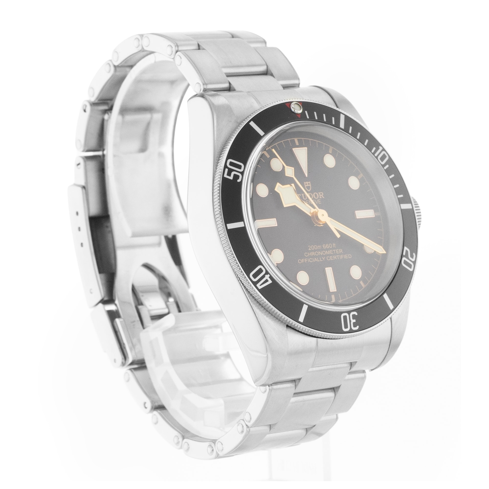 Tudor Black Bay