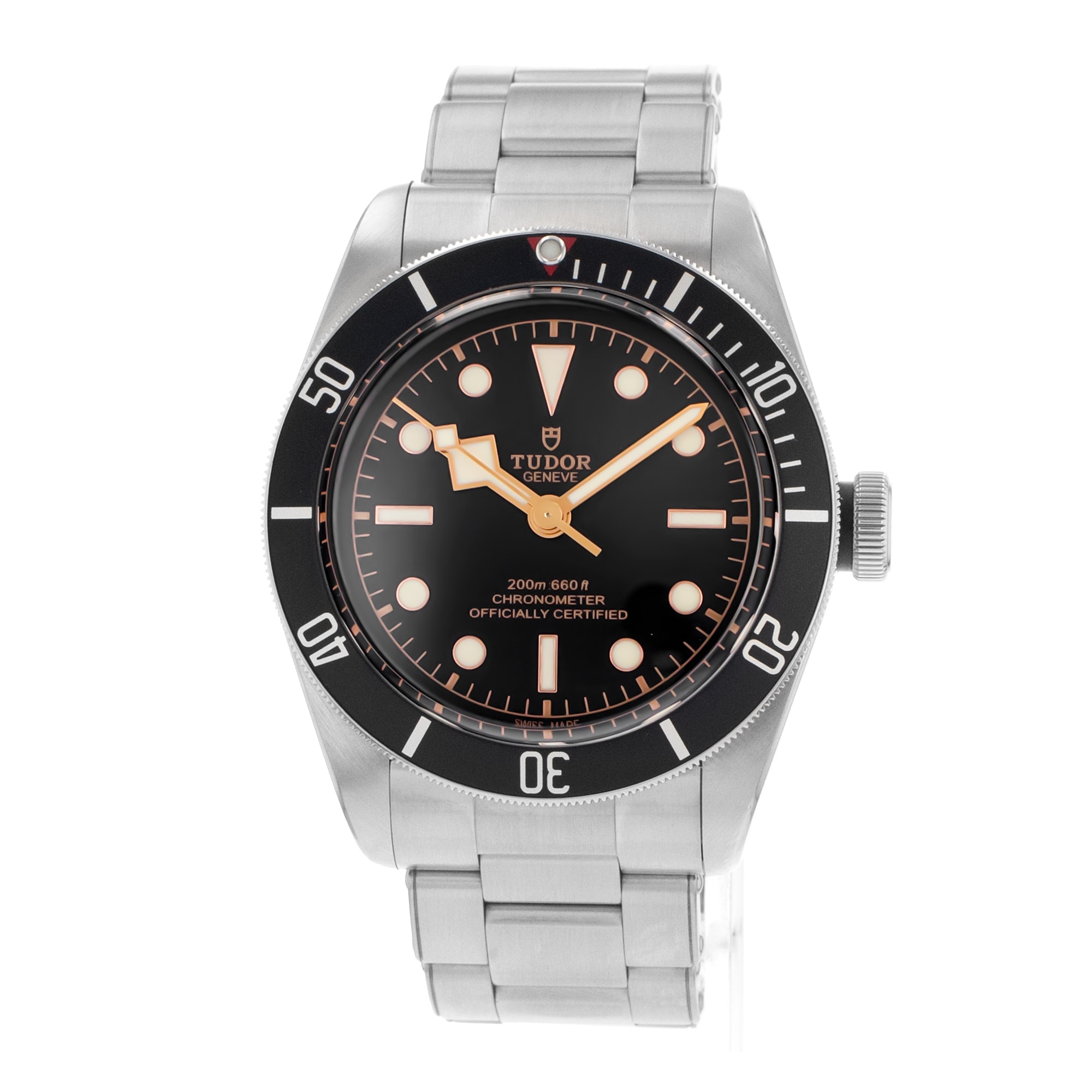 Tudor Black Bay