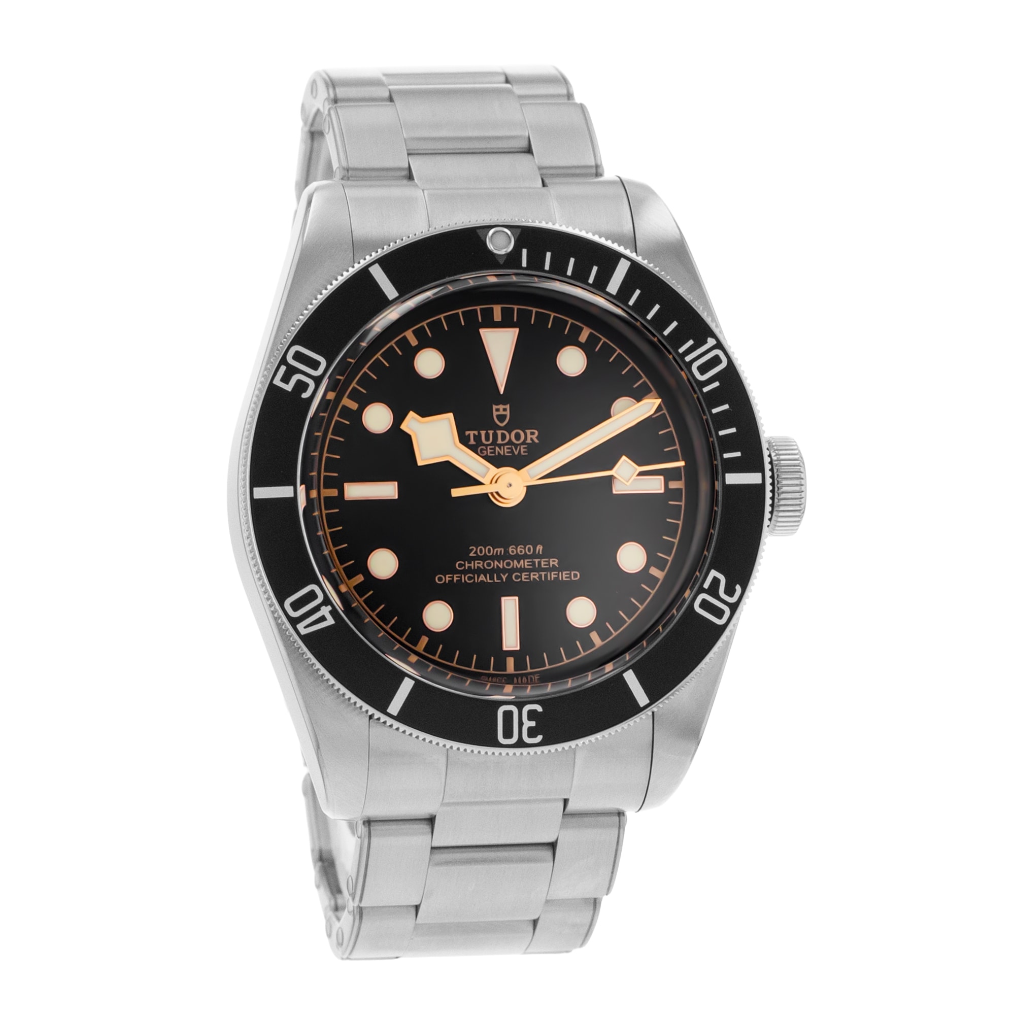 Tudor Black Bay