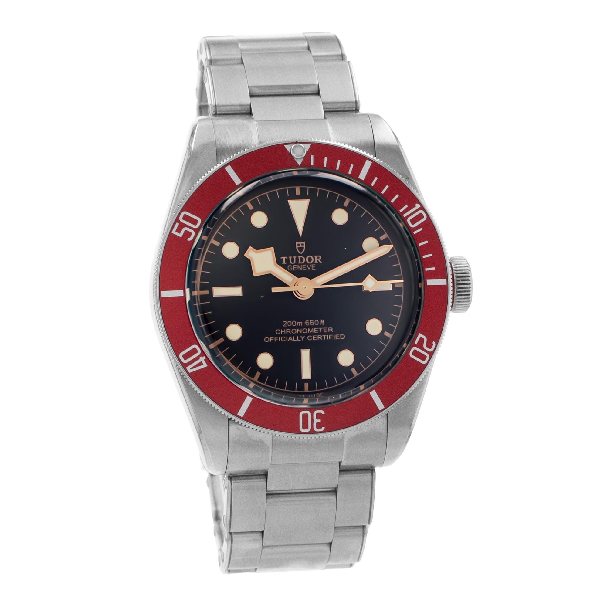 Tudor Black Bay