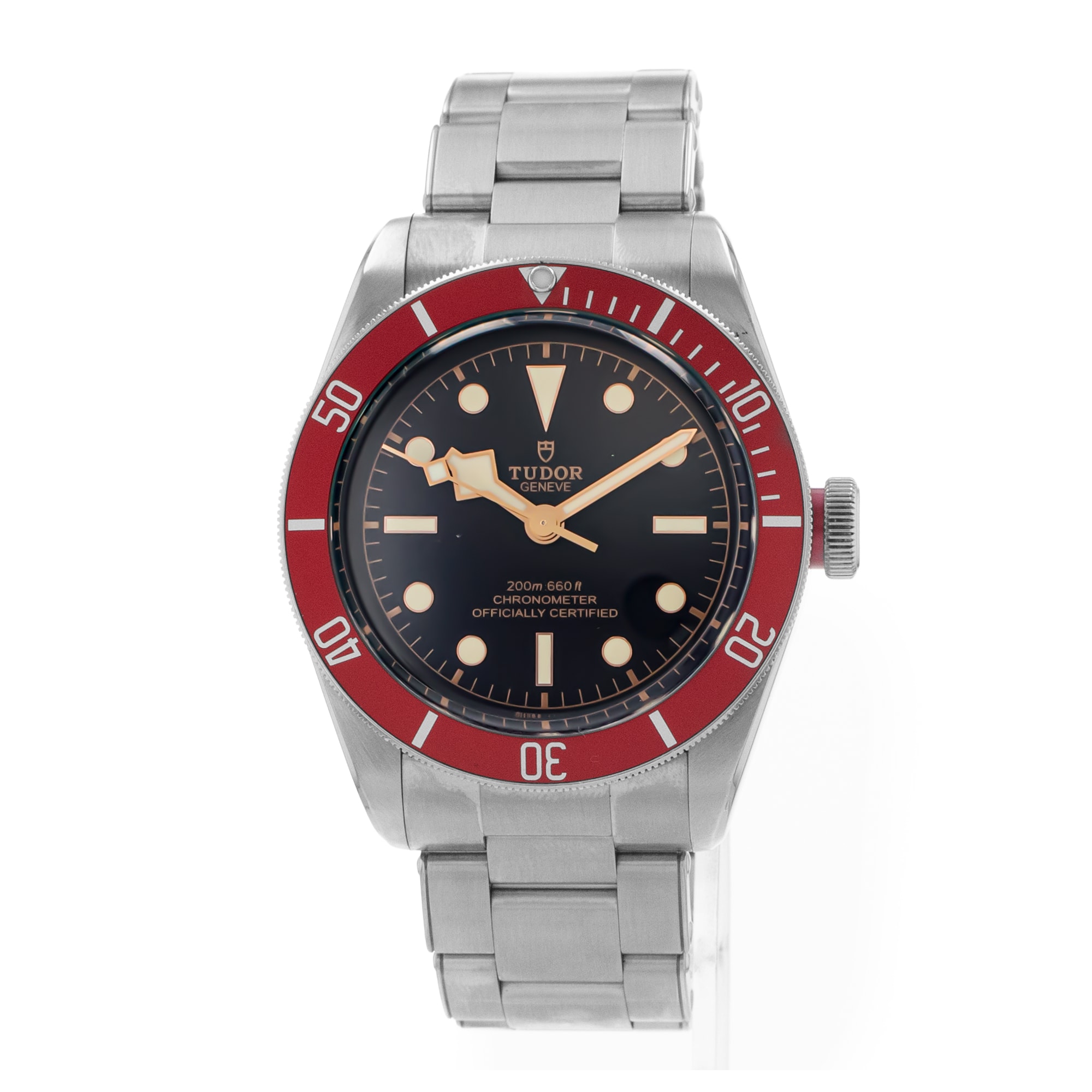 Tudor Black Bay