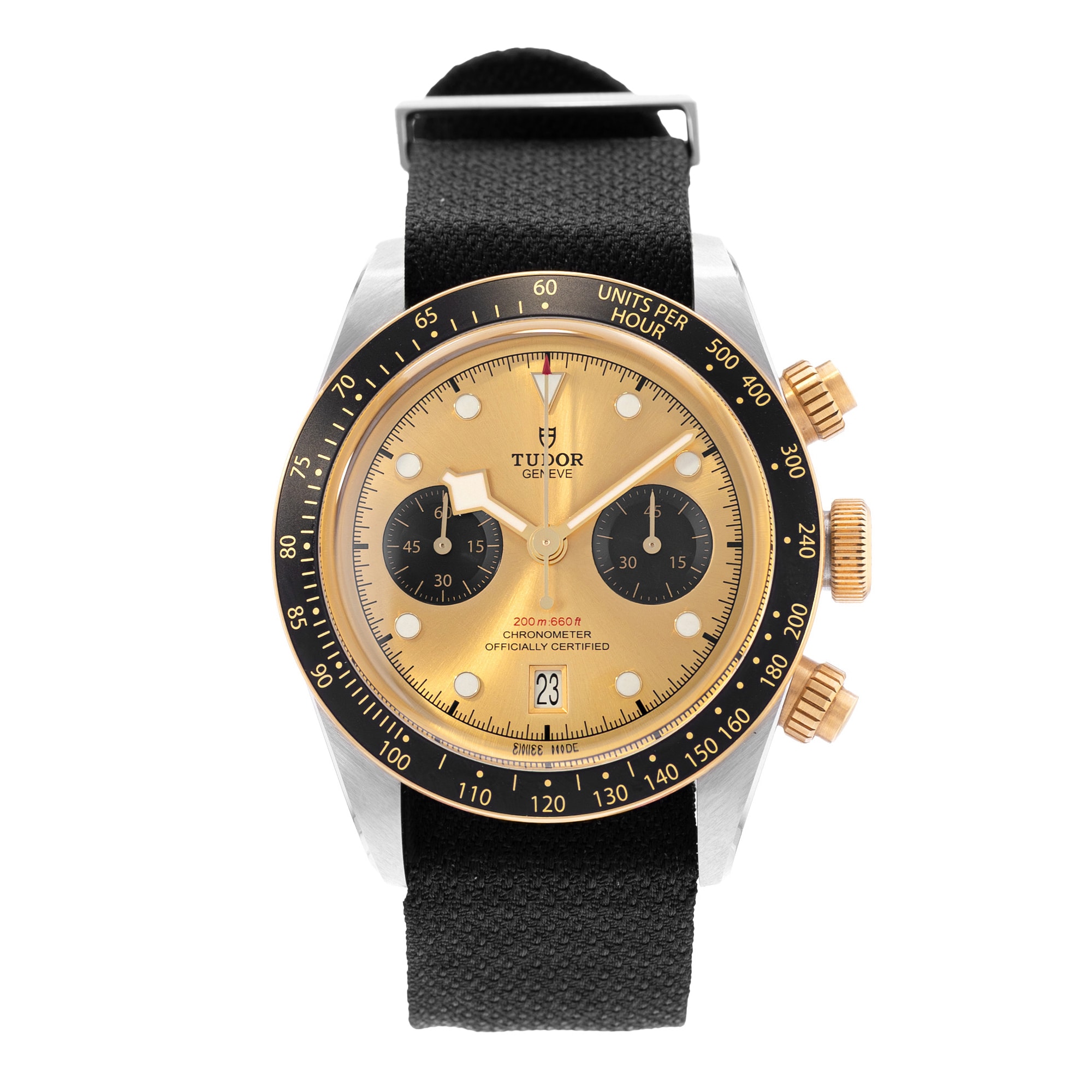 Tudor Black Bay