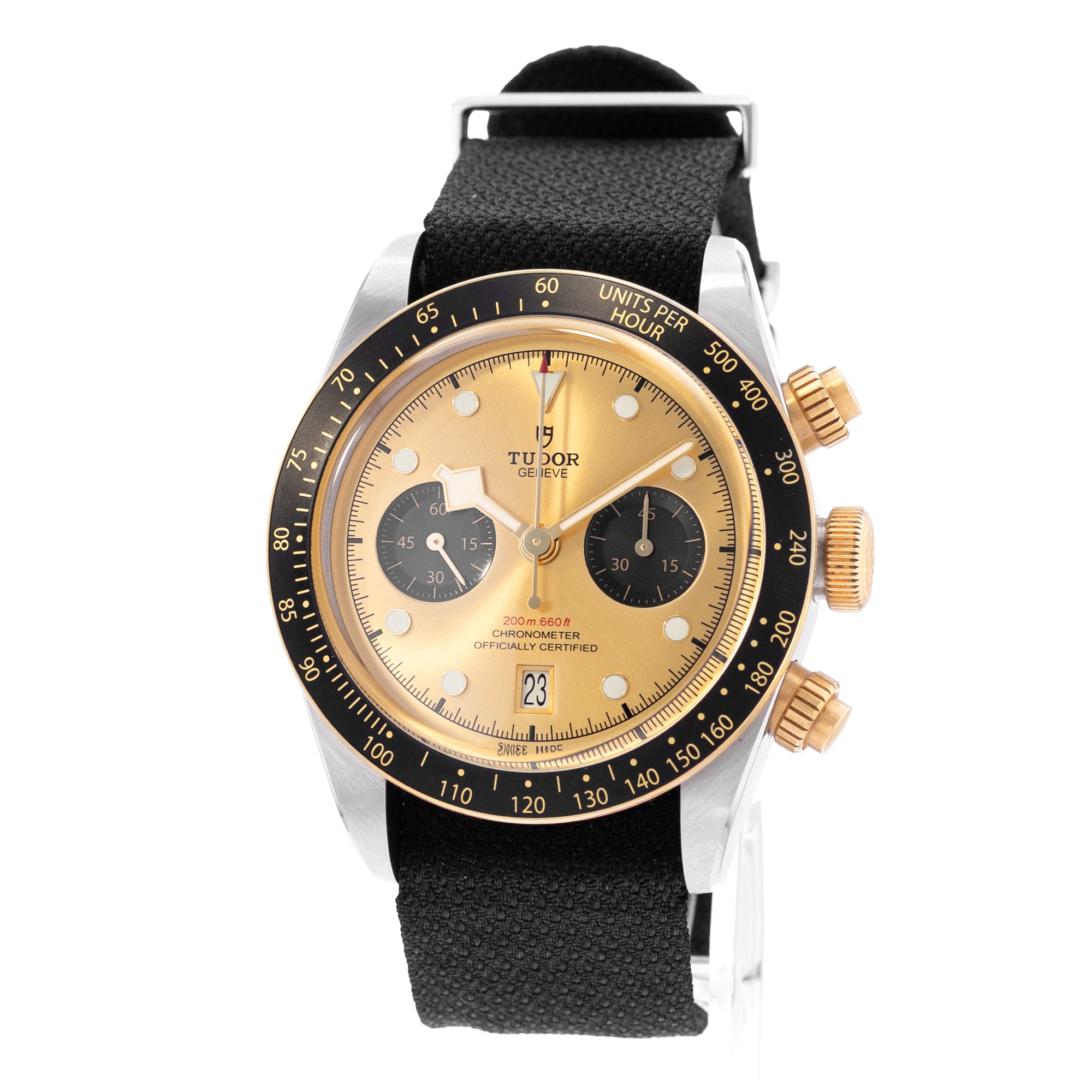 Tudor Black Bay