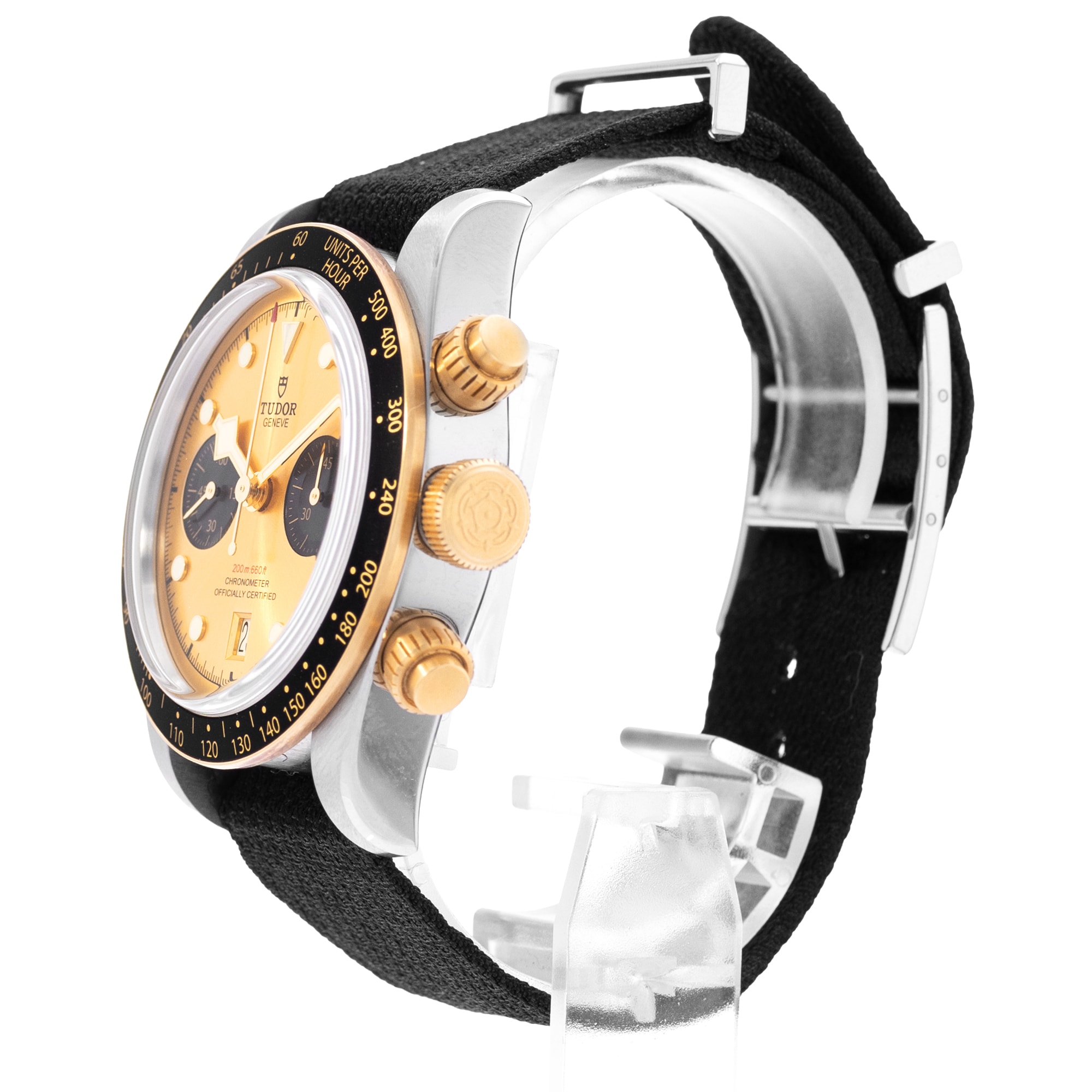 Tudor Black Bay