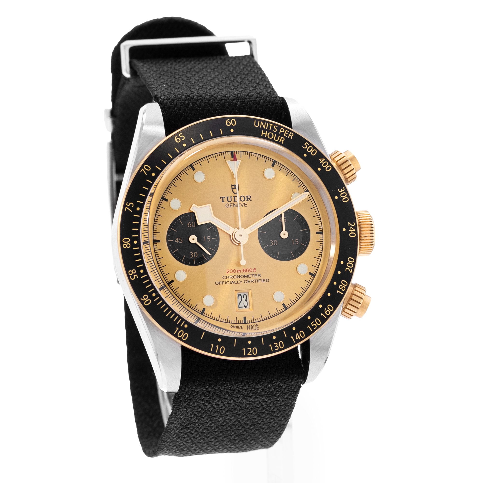 Tudor Black Bay
