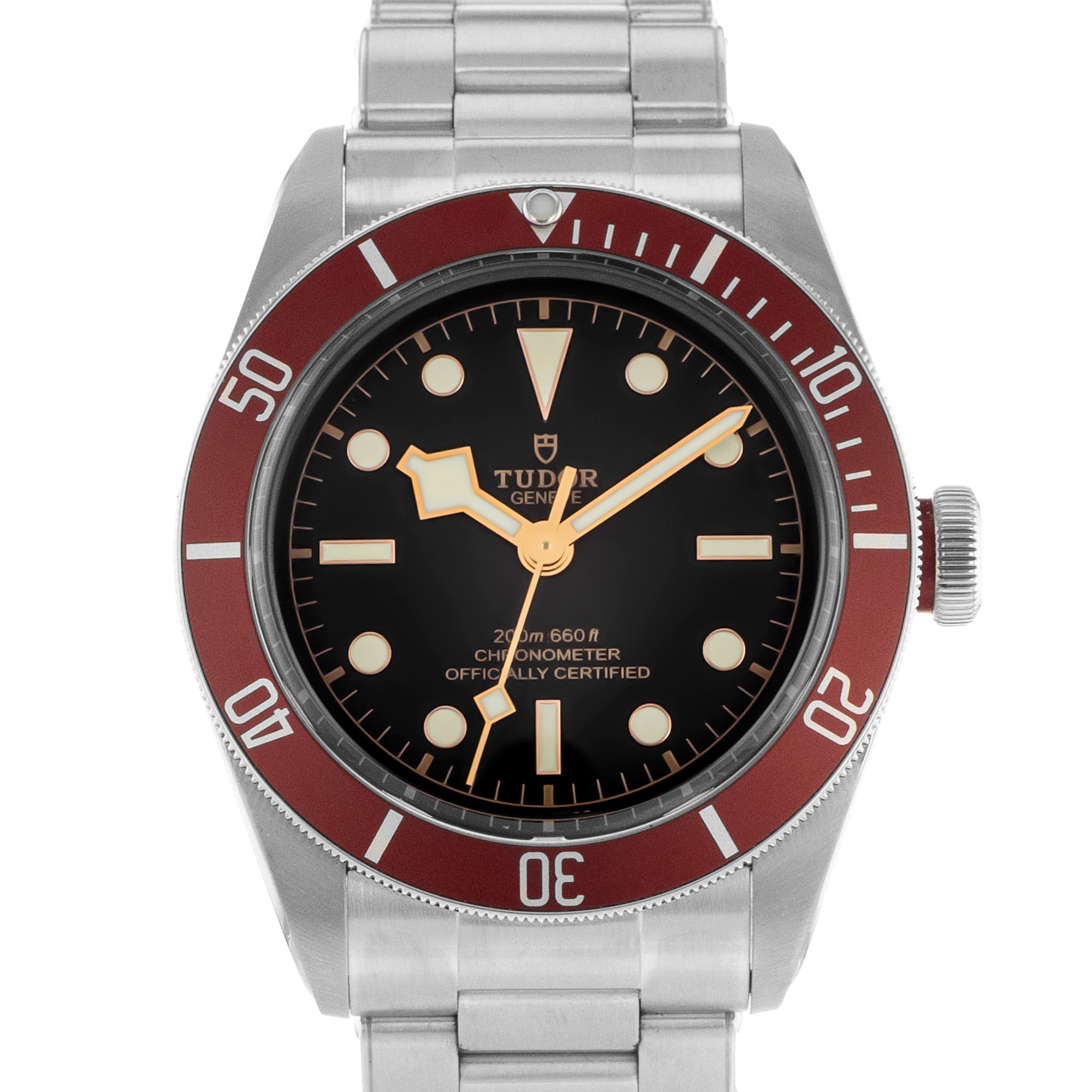 Tudor Black Bay