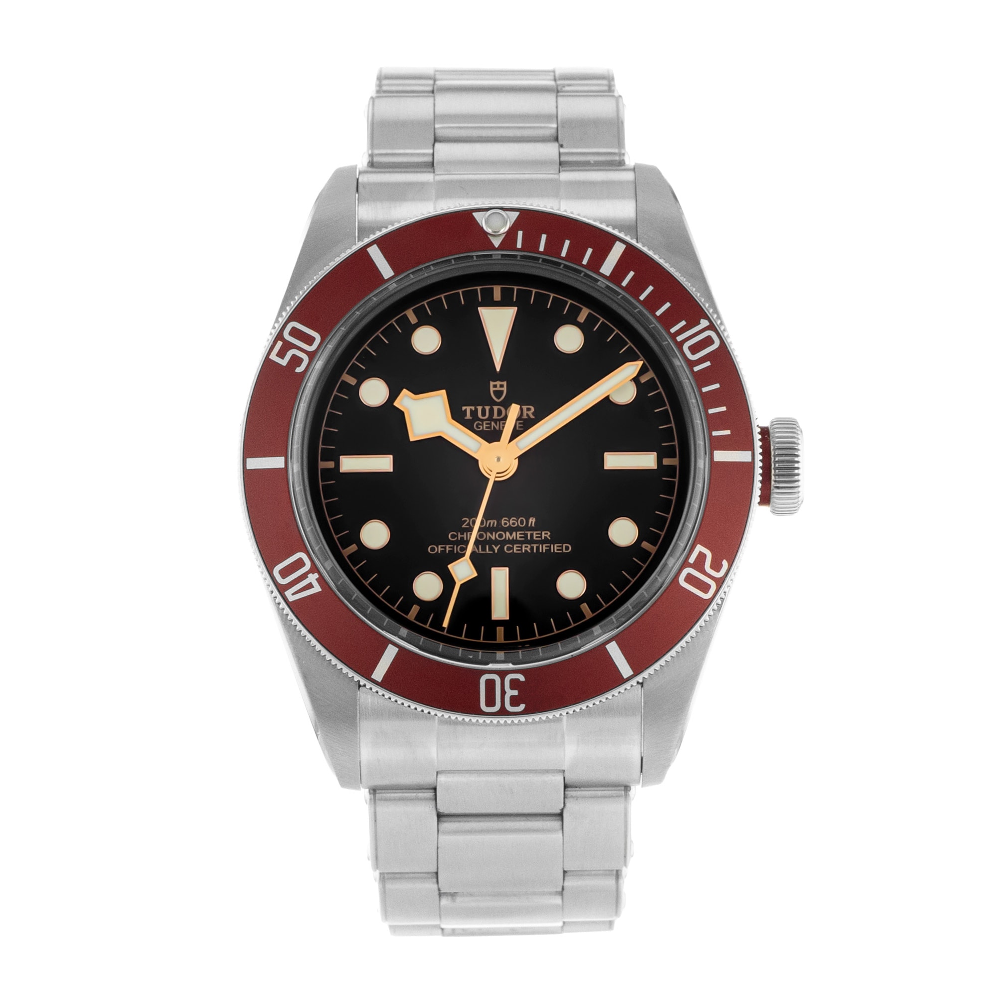 Tudor Black Bay