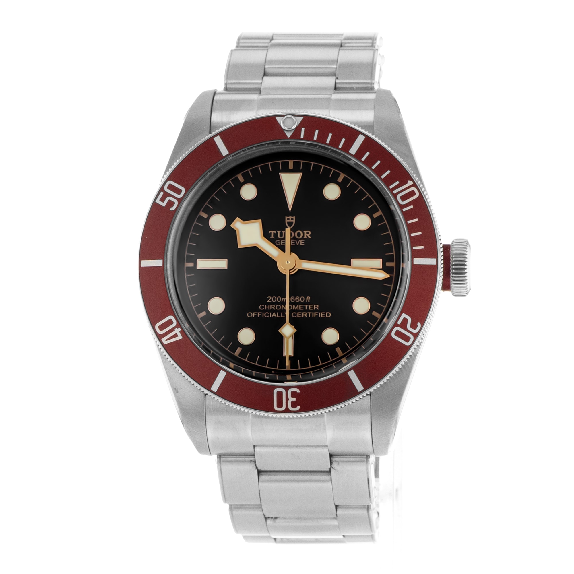 Tudor Black Bay