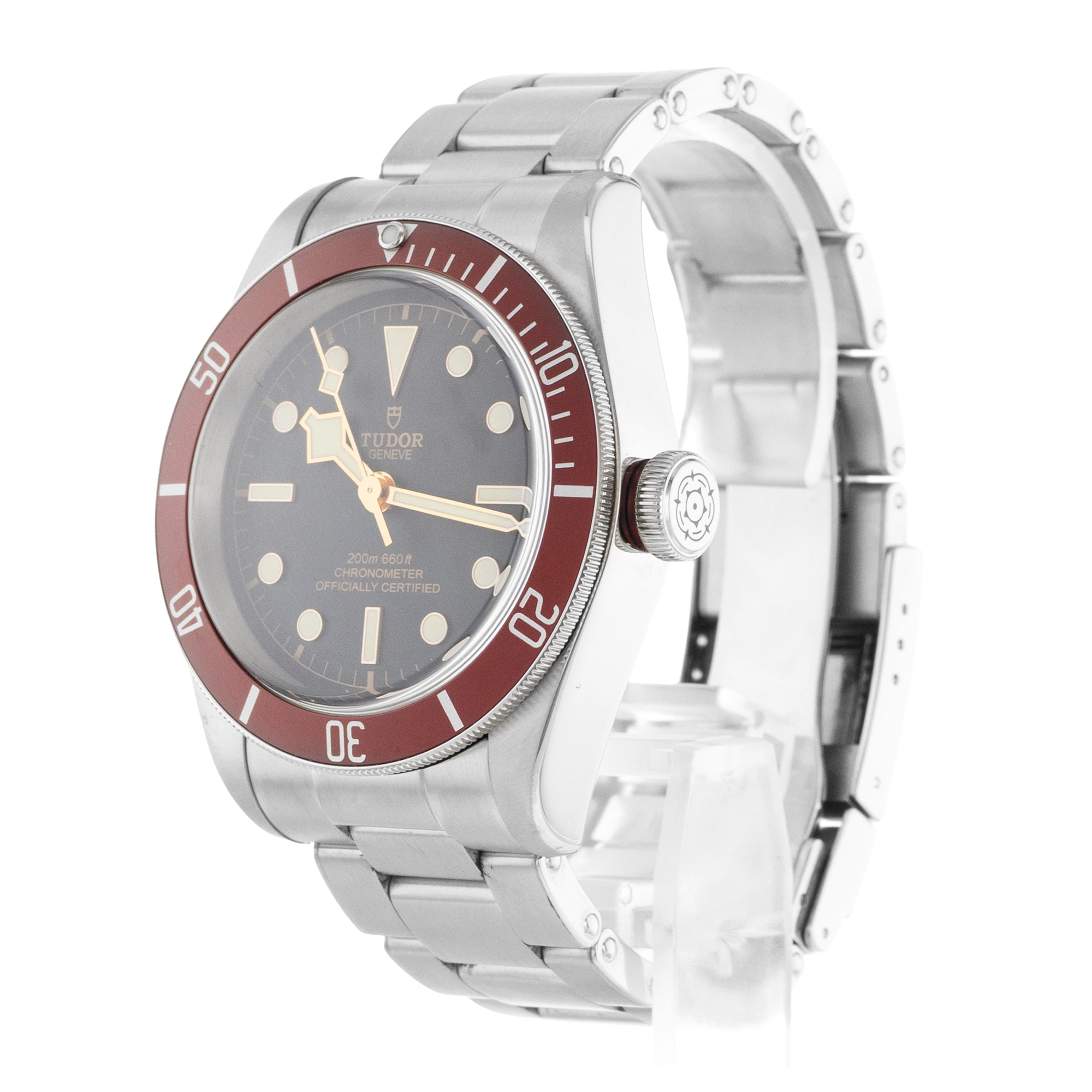 Tudor Black Bay