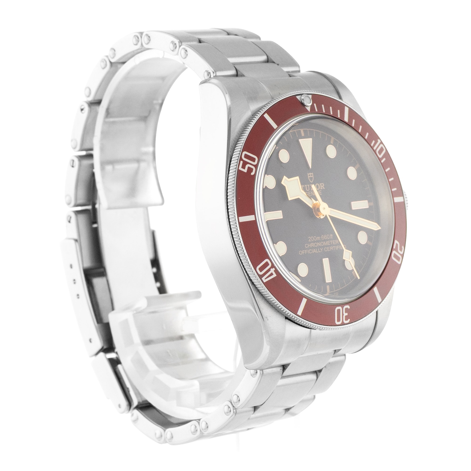 Tudor Black Bay
