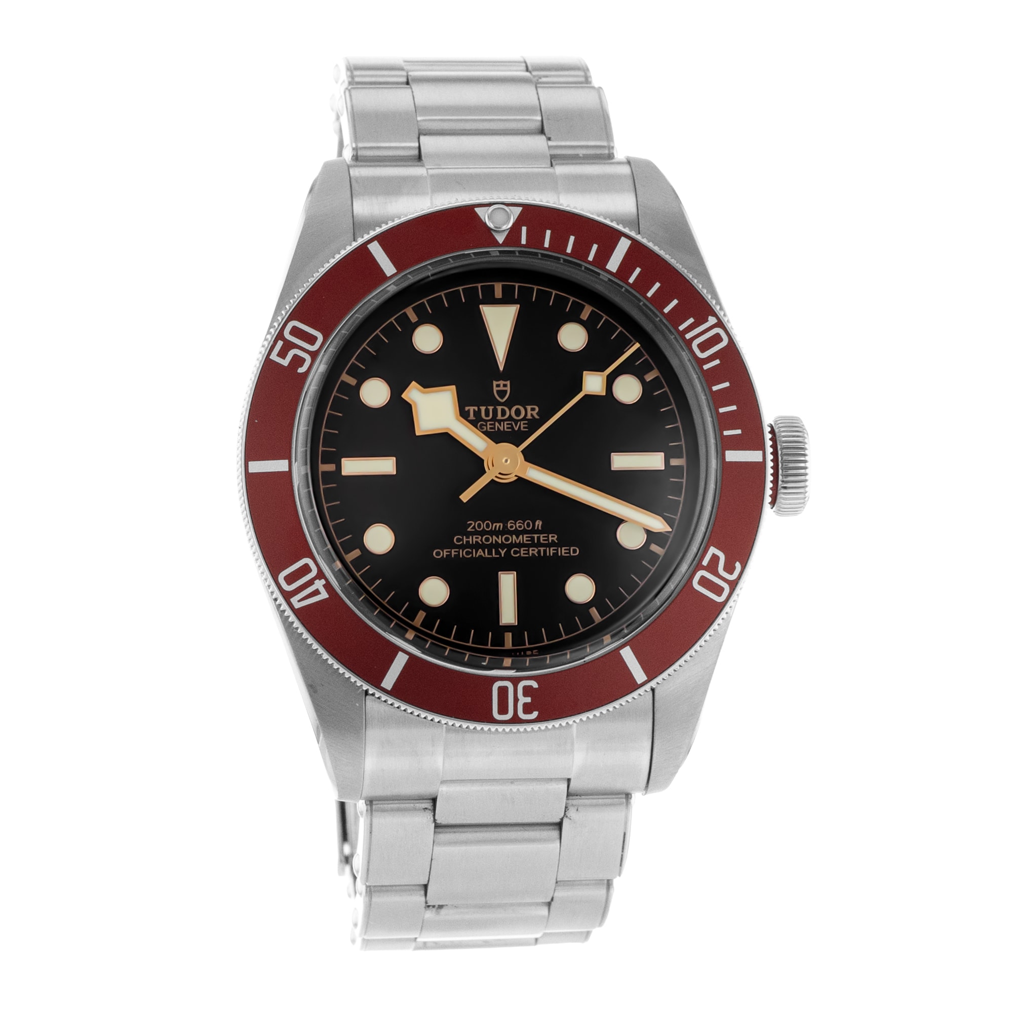Tudor Black Bay