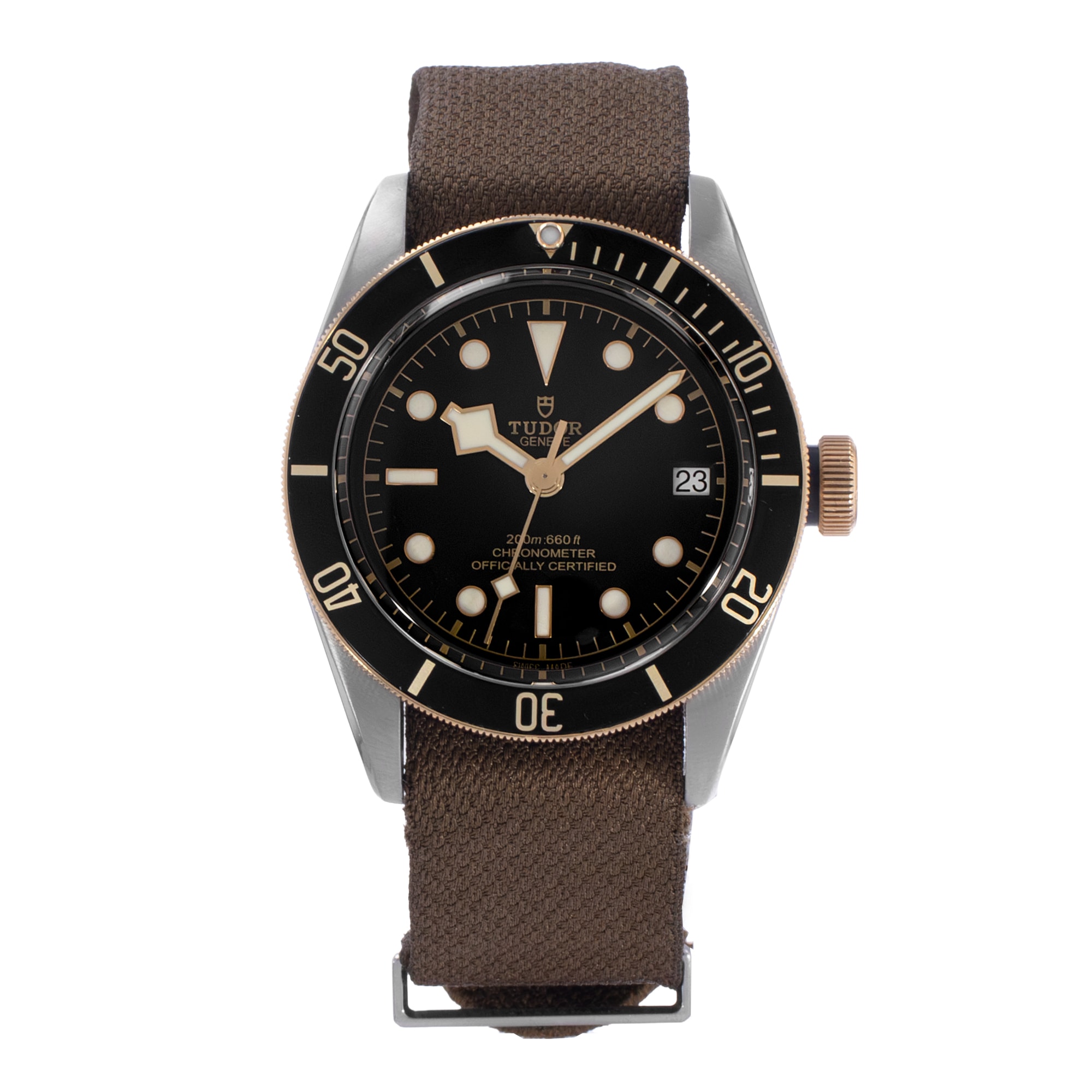 Tudor Black Bay