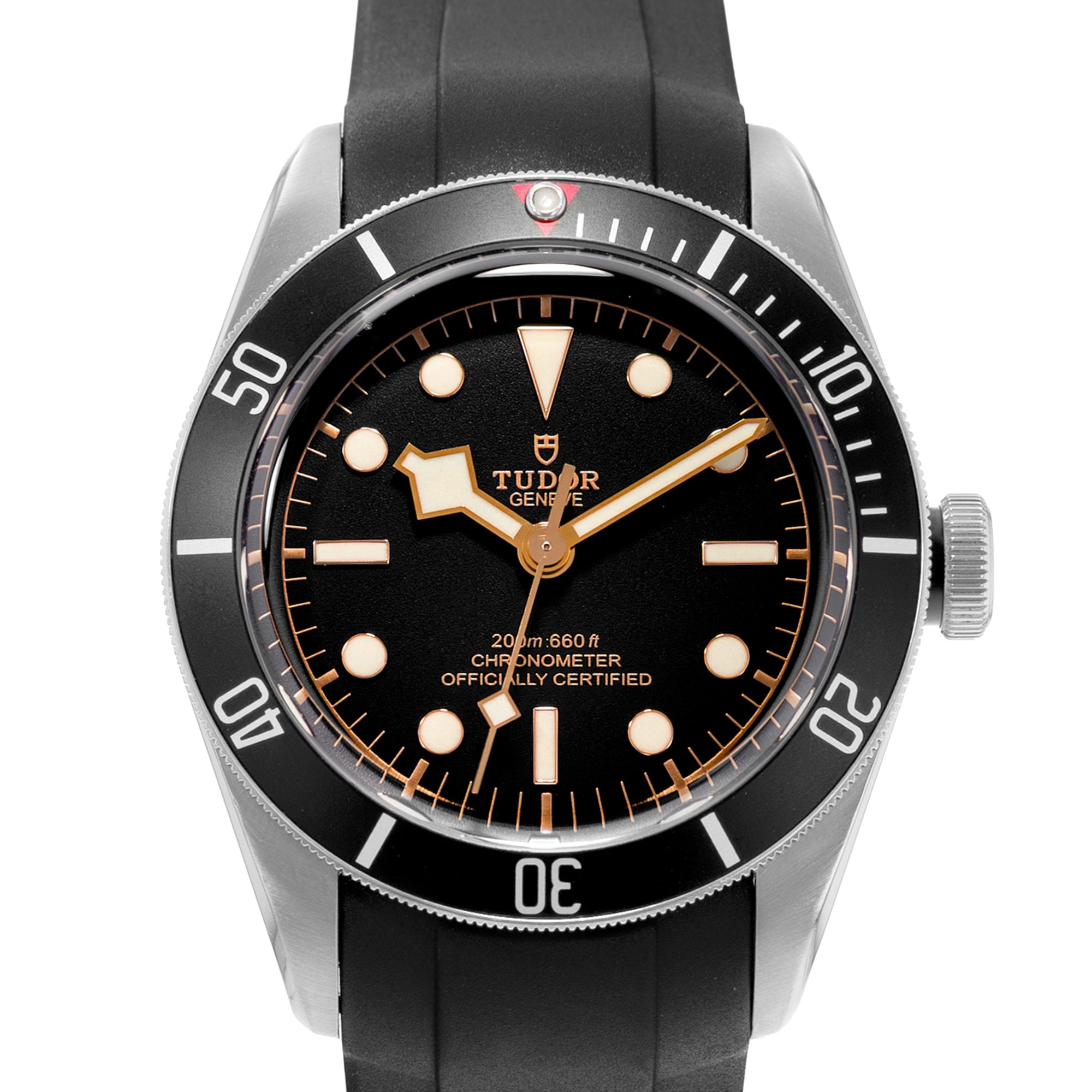 Tudor Black Bay