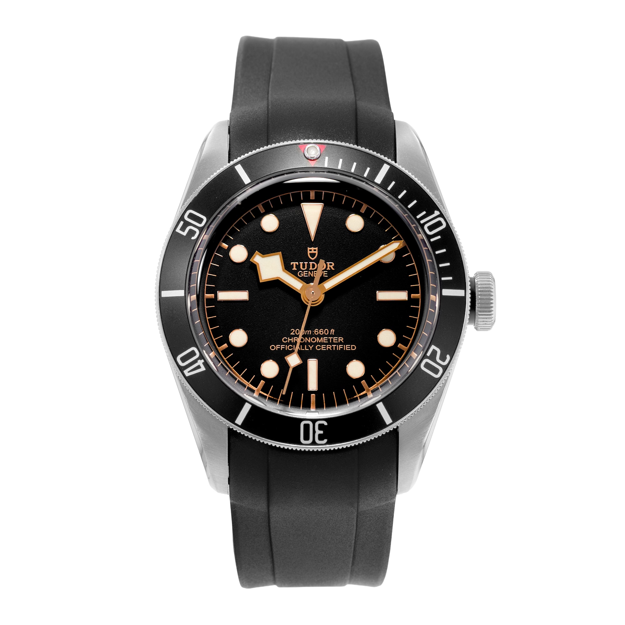 Tudor Black Bay
