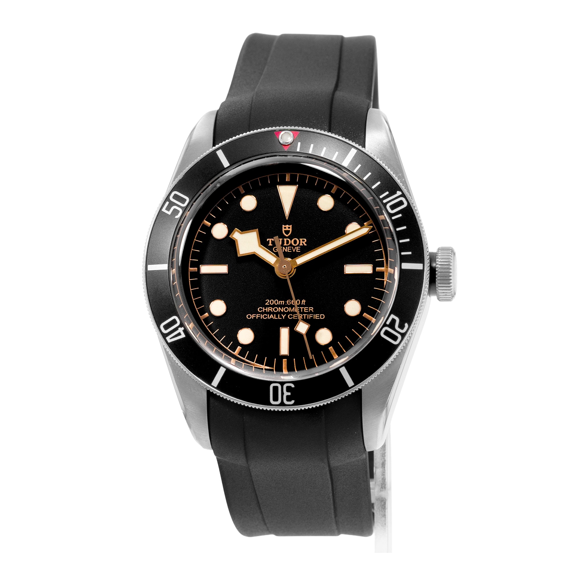 Tudor Black Bay