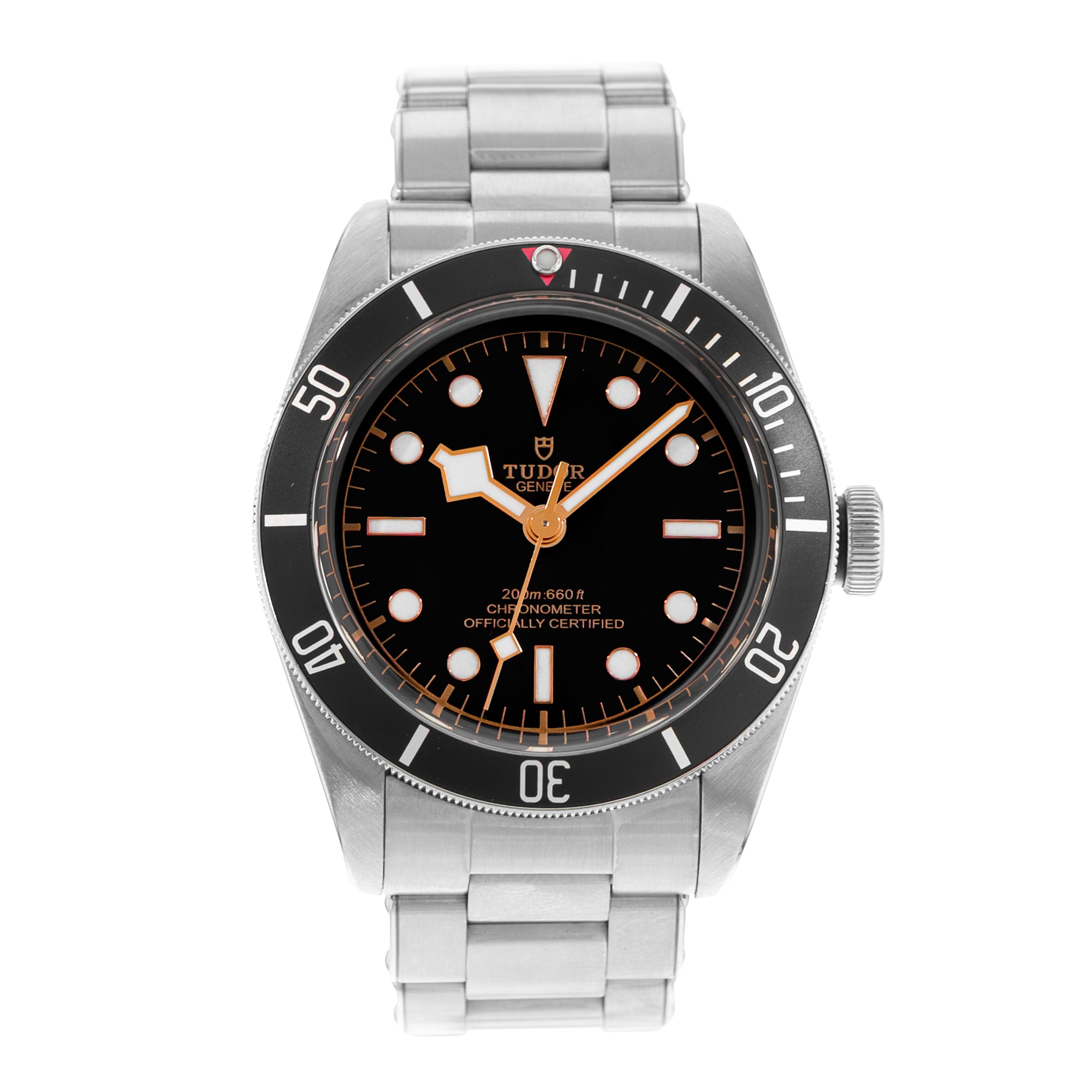 Tudor Black Bay