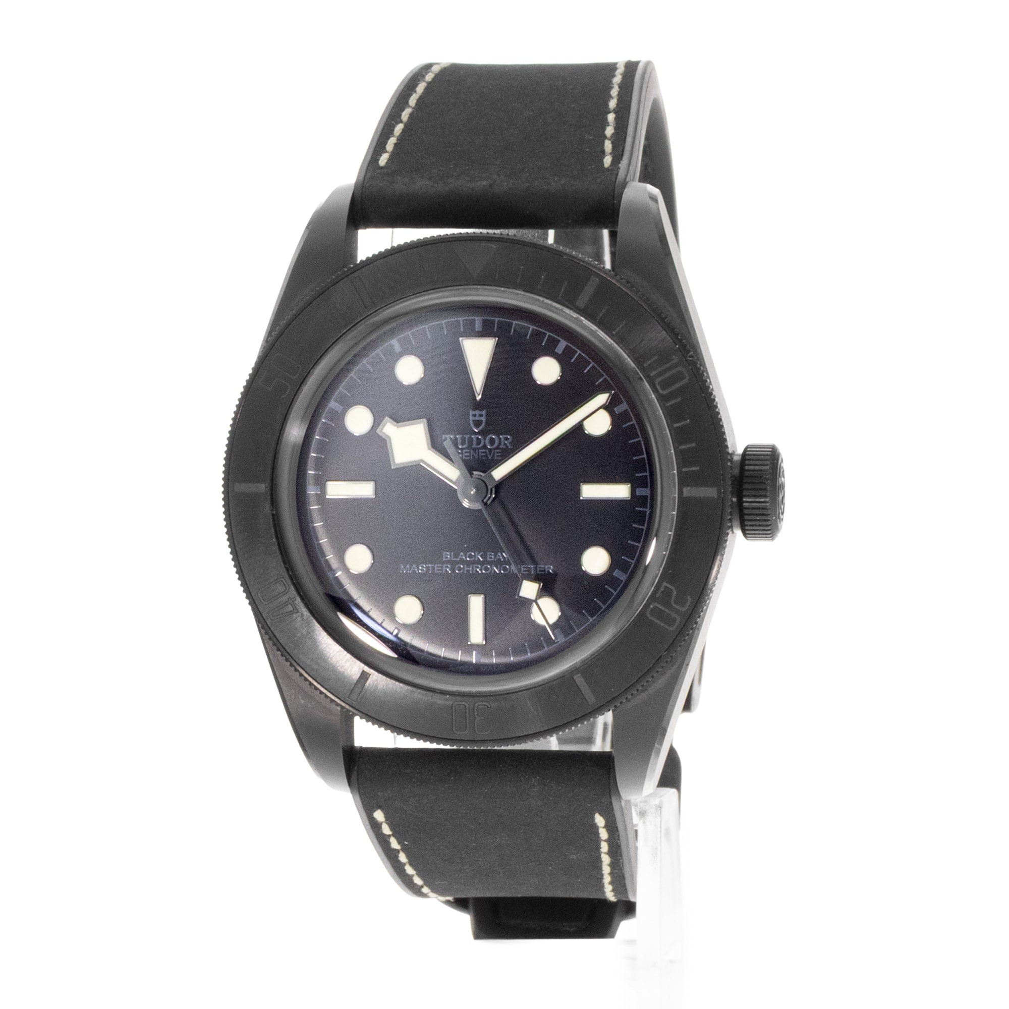 Tudor Black Bay