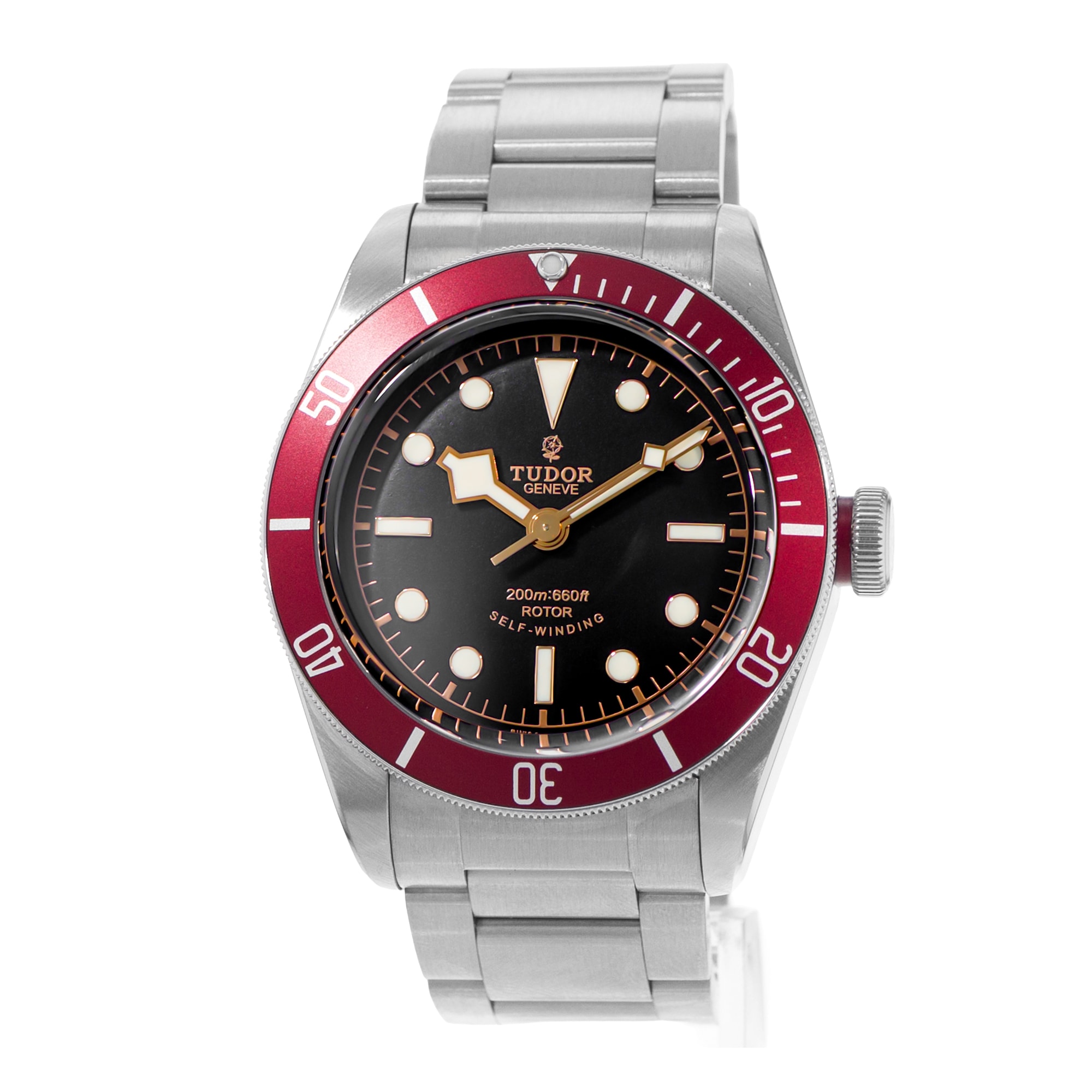 Tudor Black Bay
