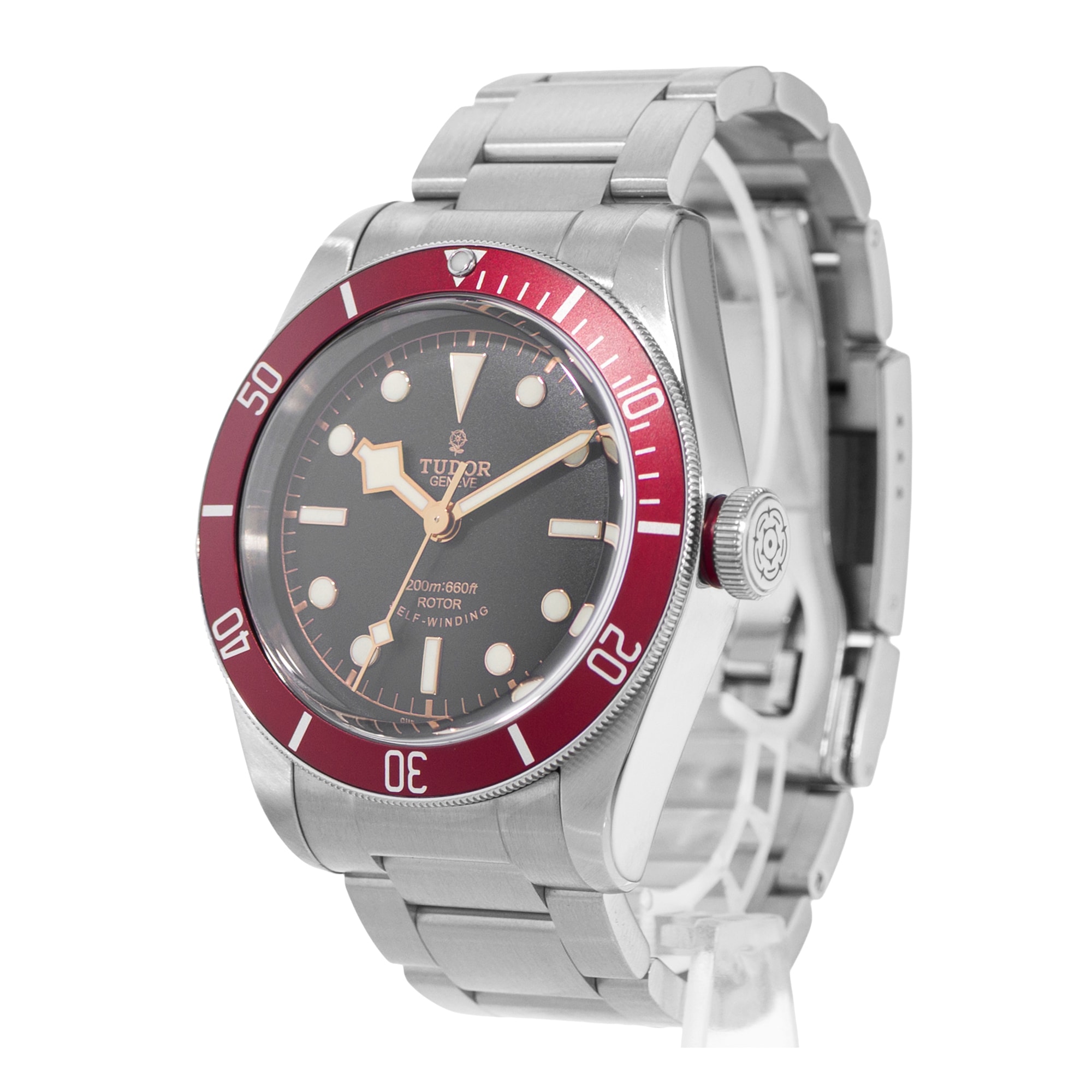 Tudor Black Bay