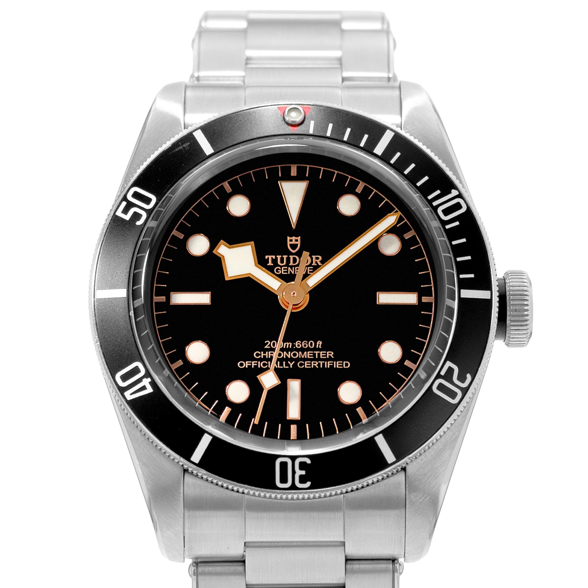 Tudor Black Bay