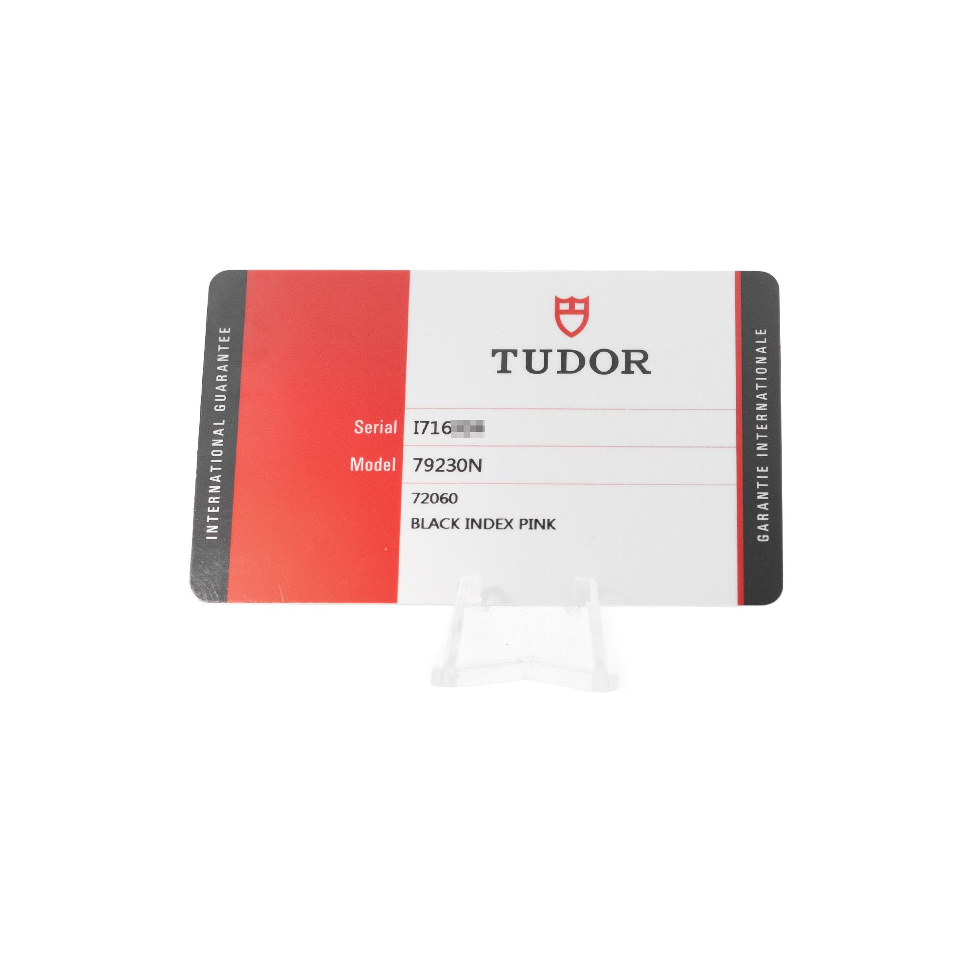Tudor Black Bay