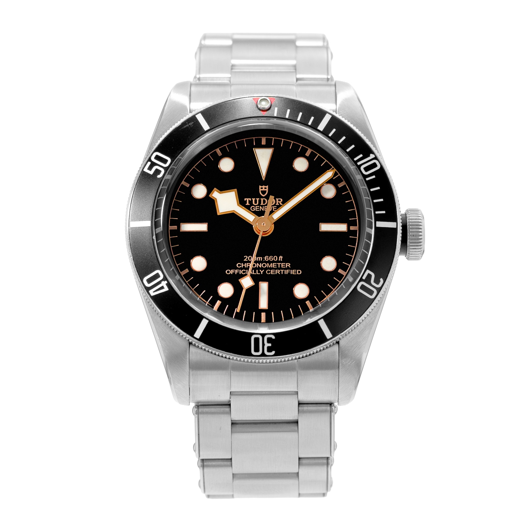 Tudor Black Bay