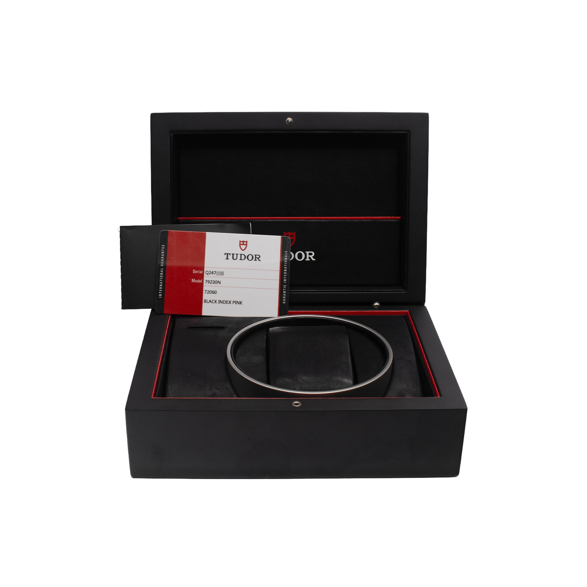 Tudor Black Bay