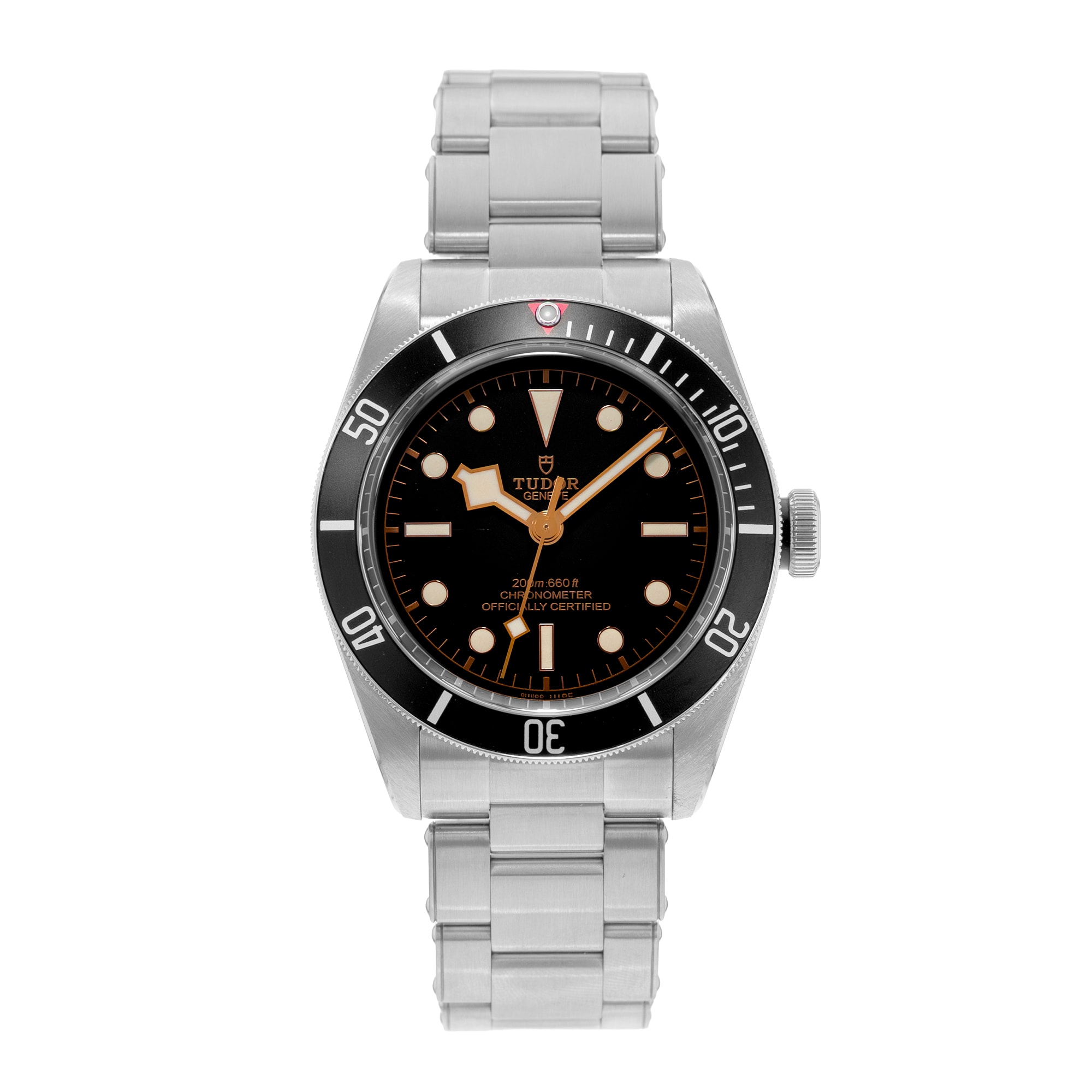 Tudor Black Bay