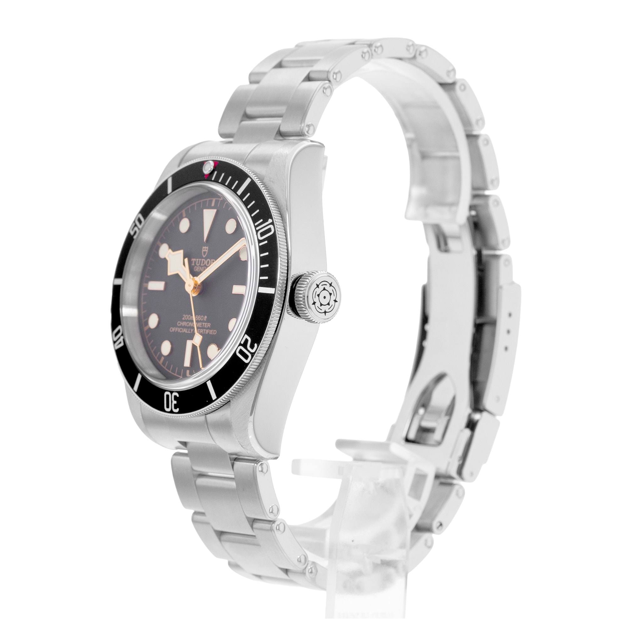 Tudor Black Bay